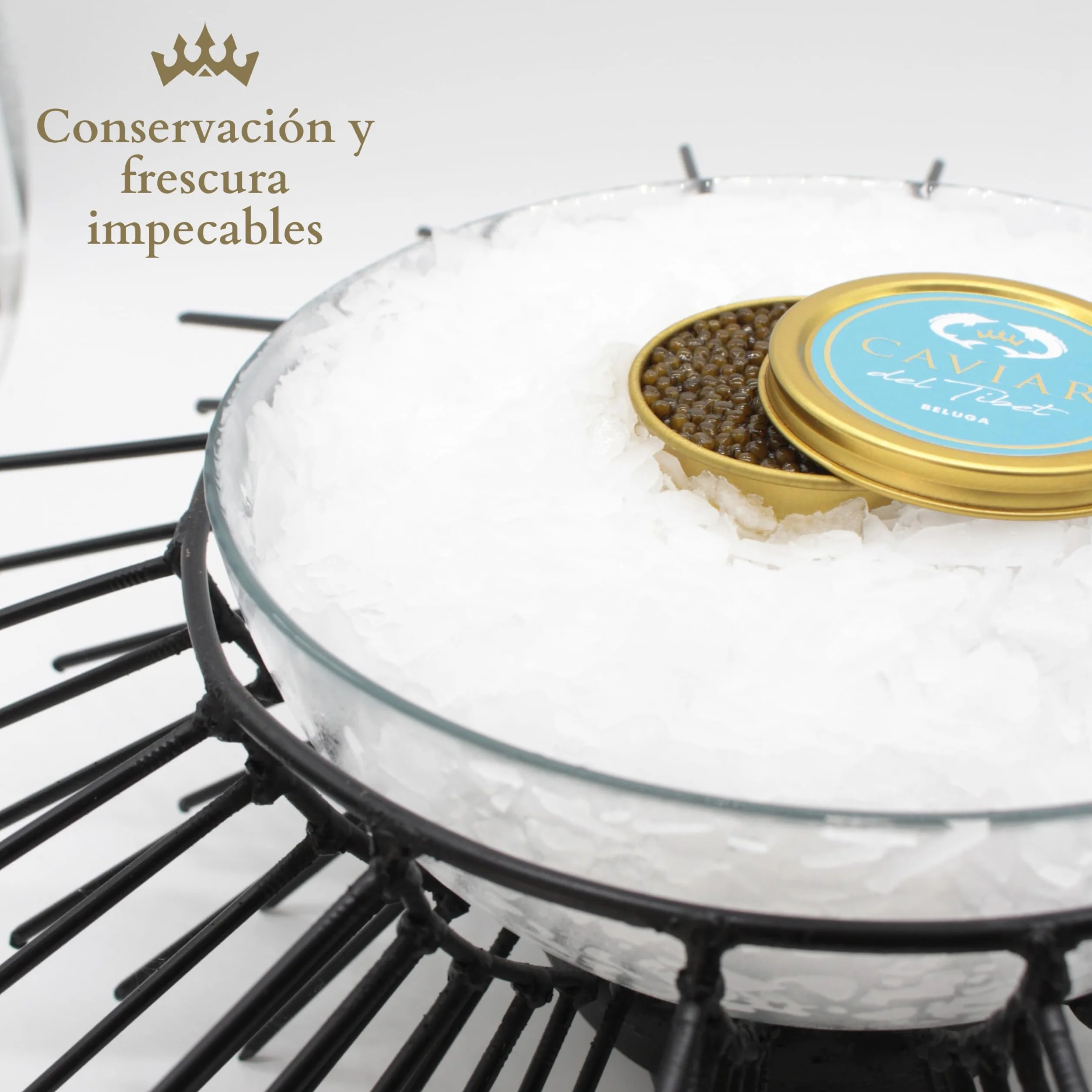 Caviar del Tíbet – Caviar Beluga 100 GR – Caviar de Esturión Huso Dauricus – Huevas de Caviar Kaluga – Caviar Gourmet…