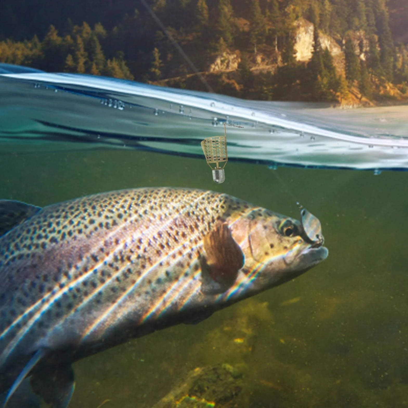 WEITING Jaula de cebo de pesca comedero primavera carpa accesorios