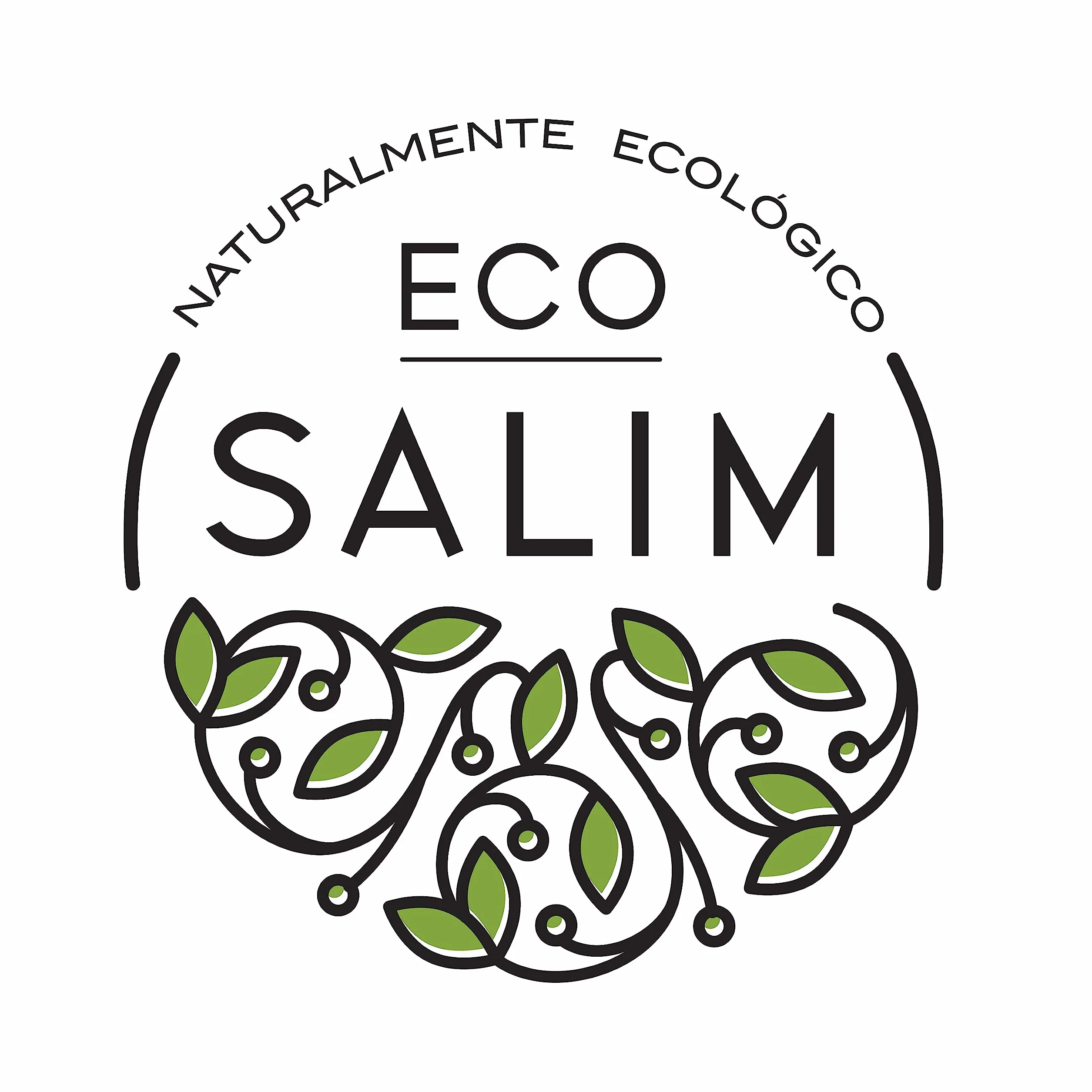 ECO SALIM - CUSCUS INTEGRAL BIO PACK 15 UDS.