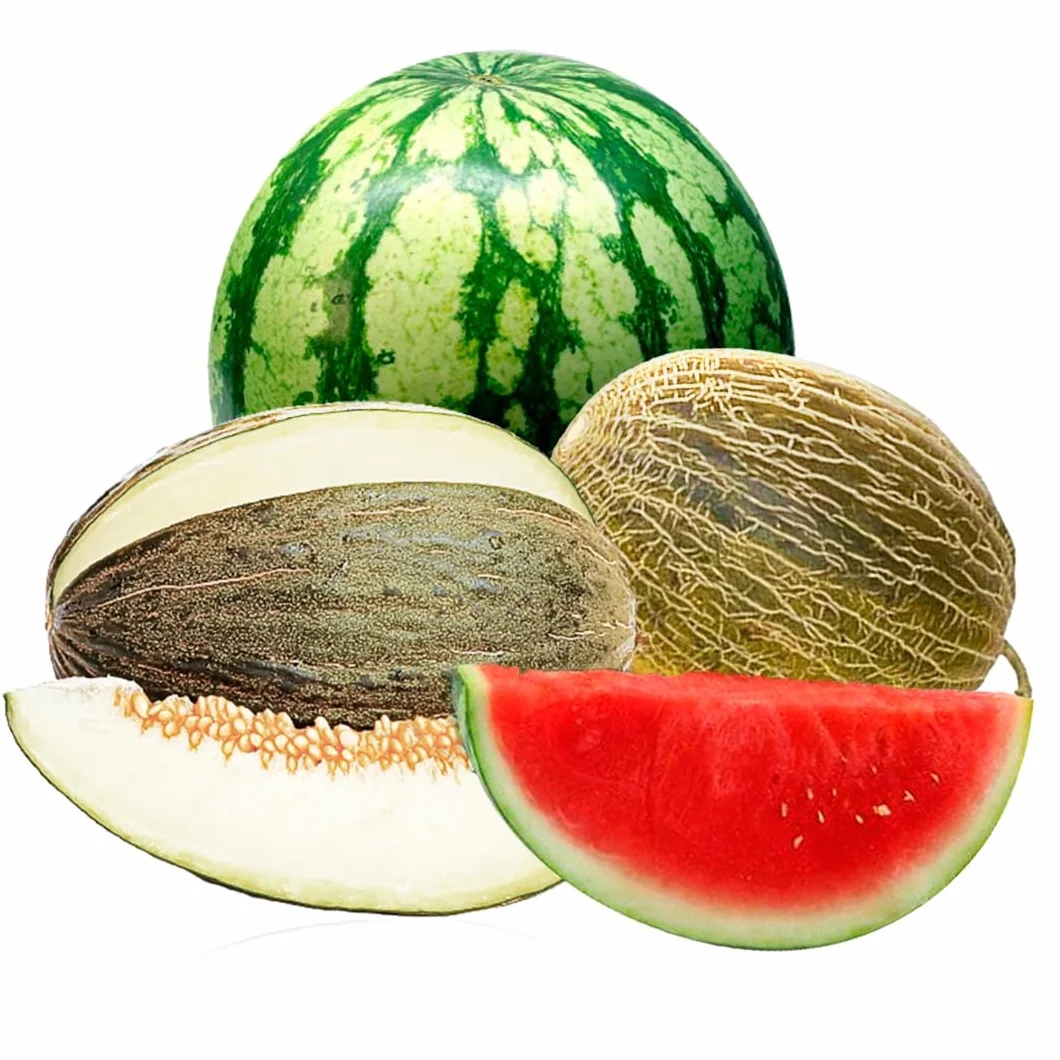 Caja 1 sandía rayada y 2 melones piel de sapo | Comprar sandía rayada 6kg y melones piel de sapo 2,70kg cada pieza. Fruta directa del agricultor de Castellón (España)