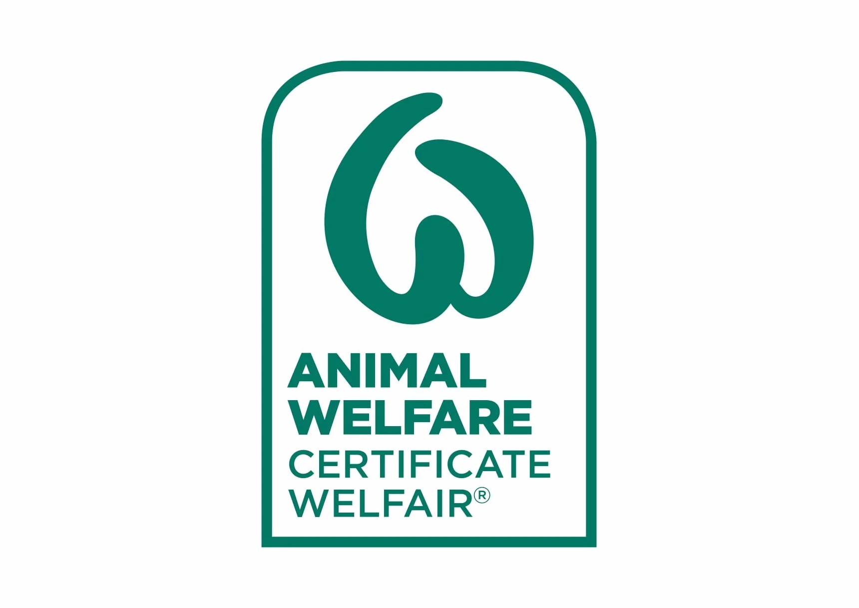 FoieGood BLOC DE PATO– Paté Untable de Hígado de Pato con Certificado Welfair® de Bienestar Animal – Textura Suave y Cremosa – Aperitivos Gourmet