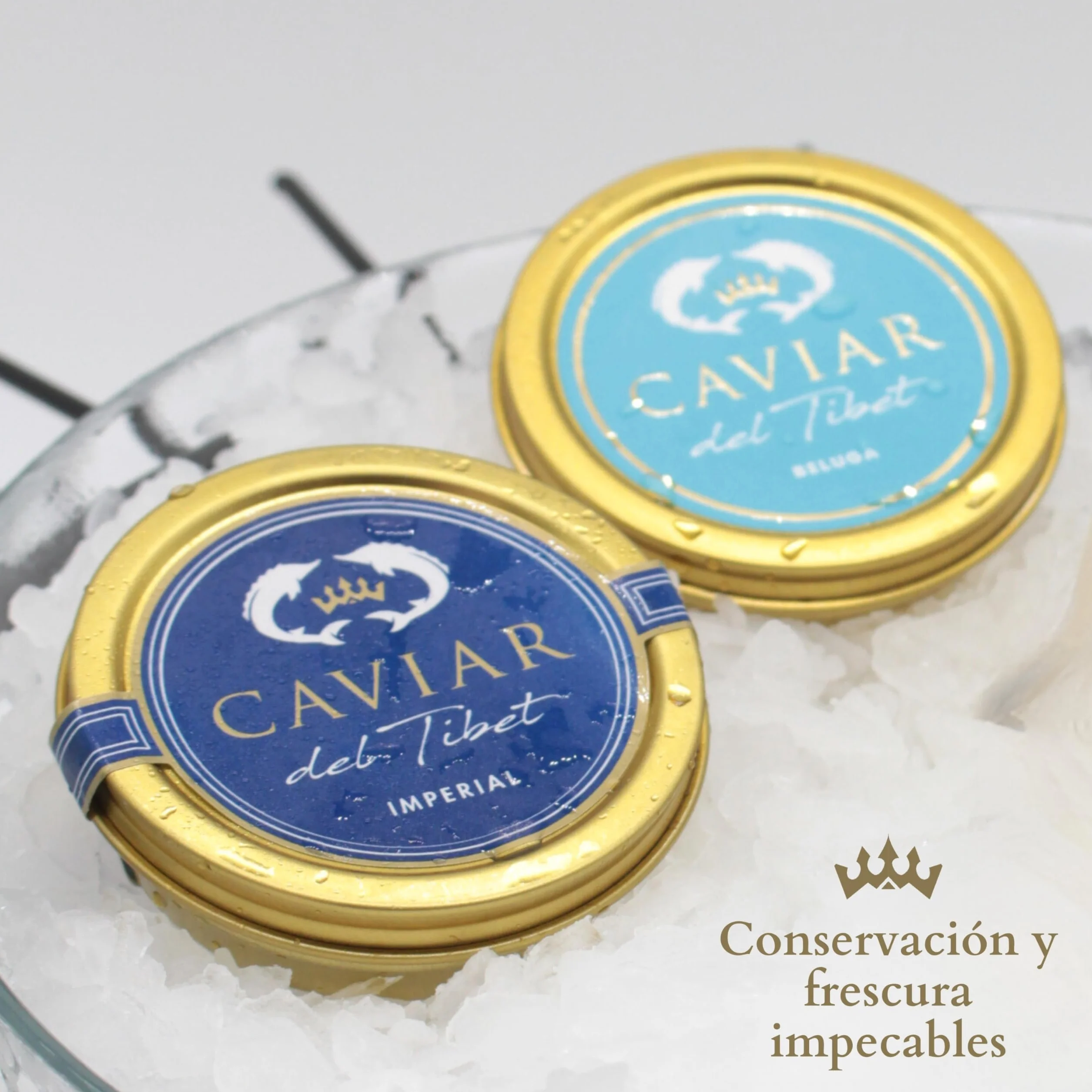 Dúo Caviar del Tíbet Beluga – Estuche Gourmet - Caviar Beluga 50 GR y Caviar Imperial 50GR – Huevas de Esturión - Pack Regalo Gourmet