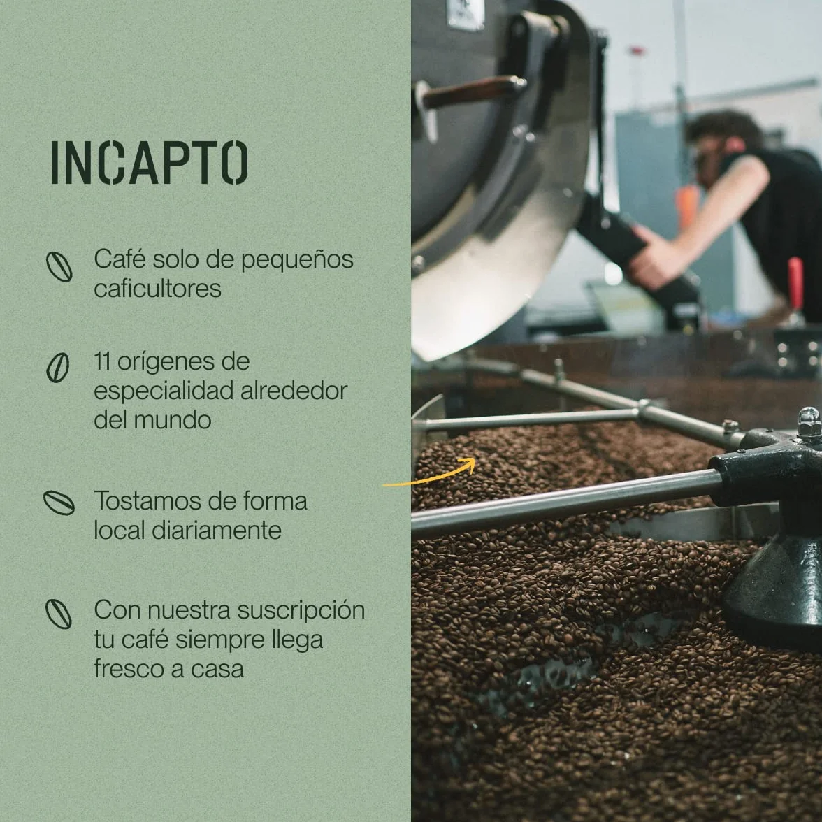 Incapto Café Descafeinado de Especialidad en Grano 500g 100% Arábica Brasil Swiss Water Decaf
