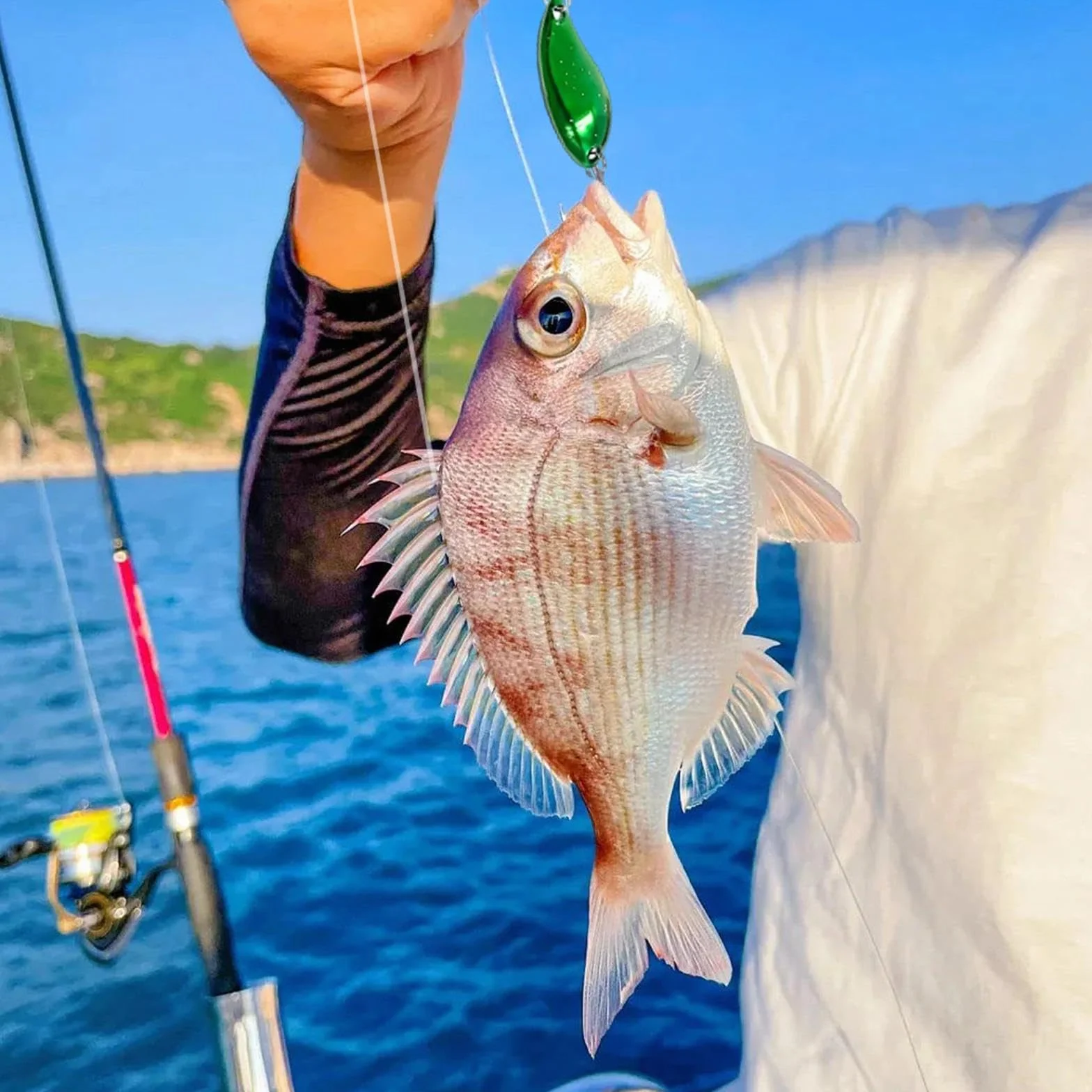 Señuelos de Pesca Cucharillas Coloridas Set 12 Piezas 3,5g para Trucha Salmón Perca