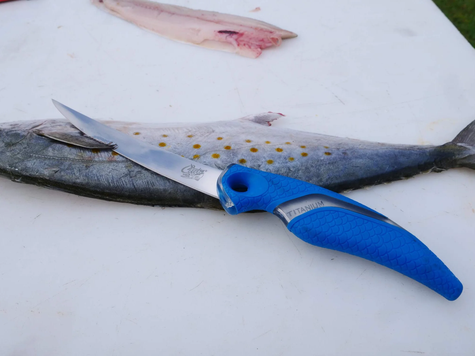 Camillus CM18133 Cuchillo Tascabile Azul