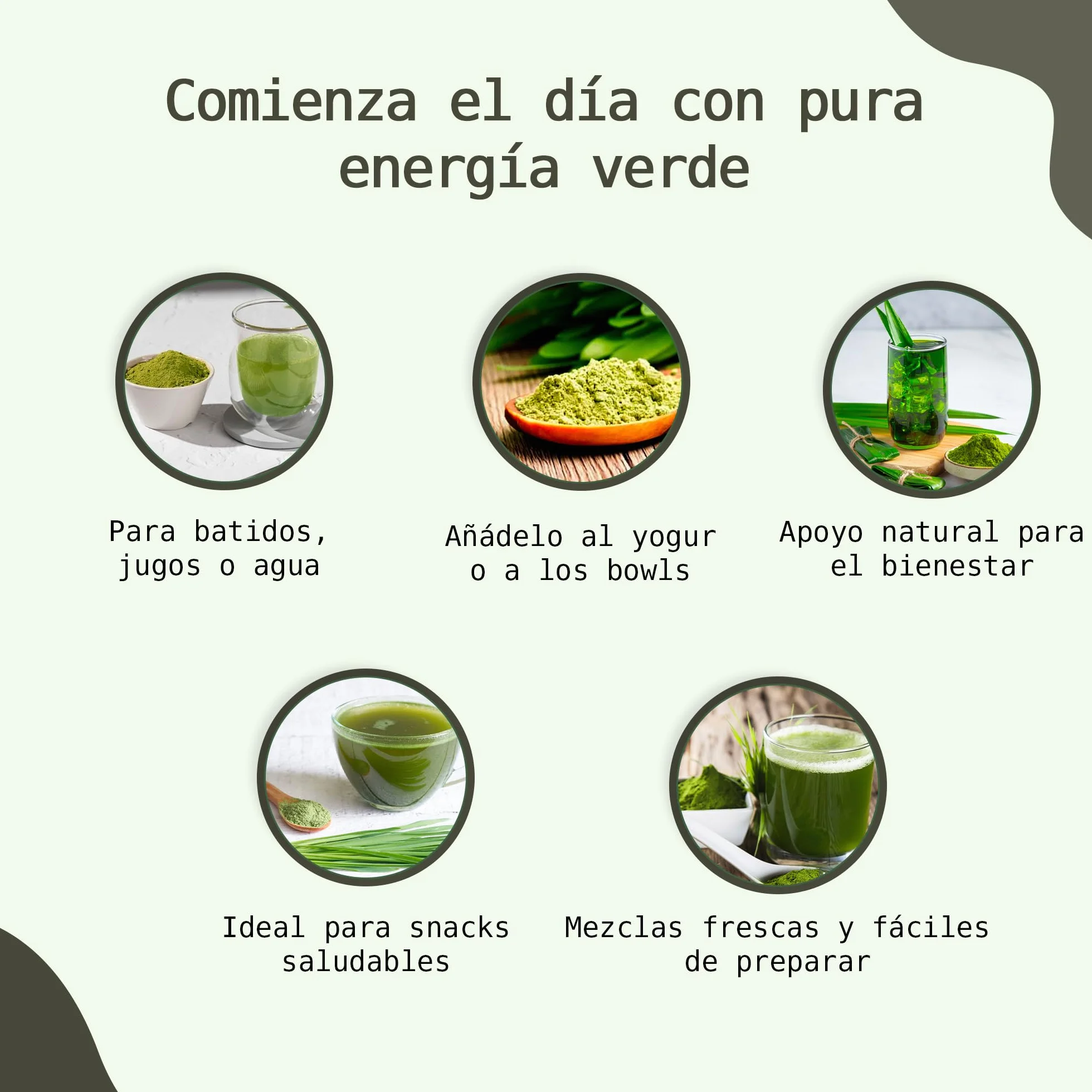 Organic Barley Grass Juice Powder 200 g Certified Premium 100% Soluble Alkaline
