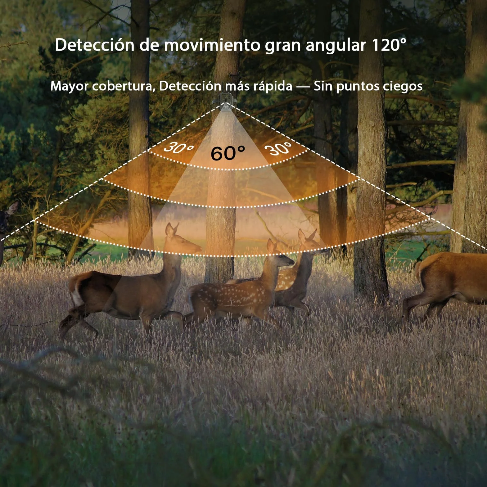 GardePro E8 2.0 Cámara de Caza WiFi Doble Antena 64MP 4K H.264 Visión Nocturna 30m IP66