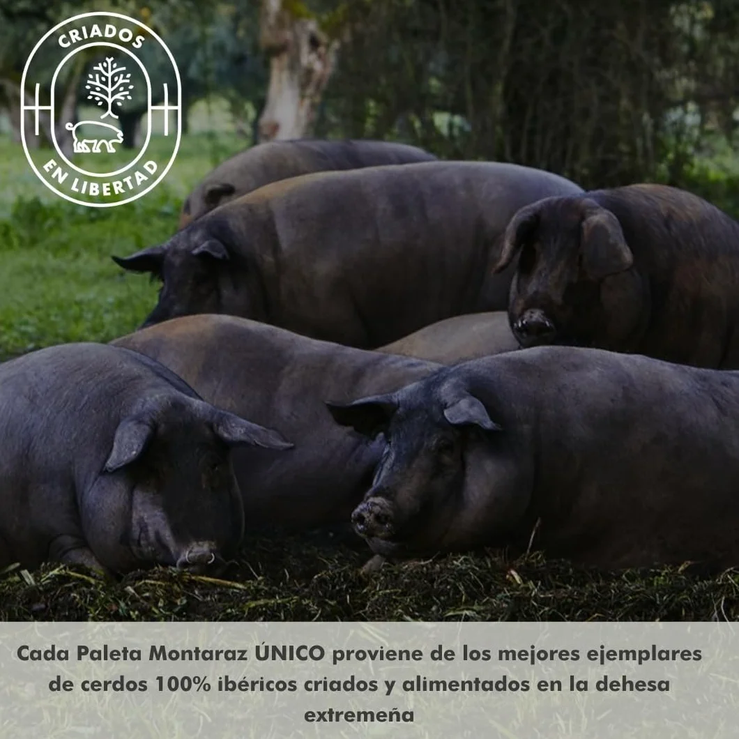 Paleta Ibérica de Bellota 100% Raza Ibérica Curación 24 Meses 4,5-5 kg Sin Aditivos