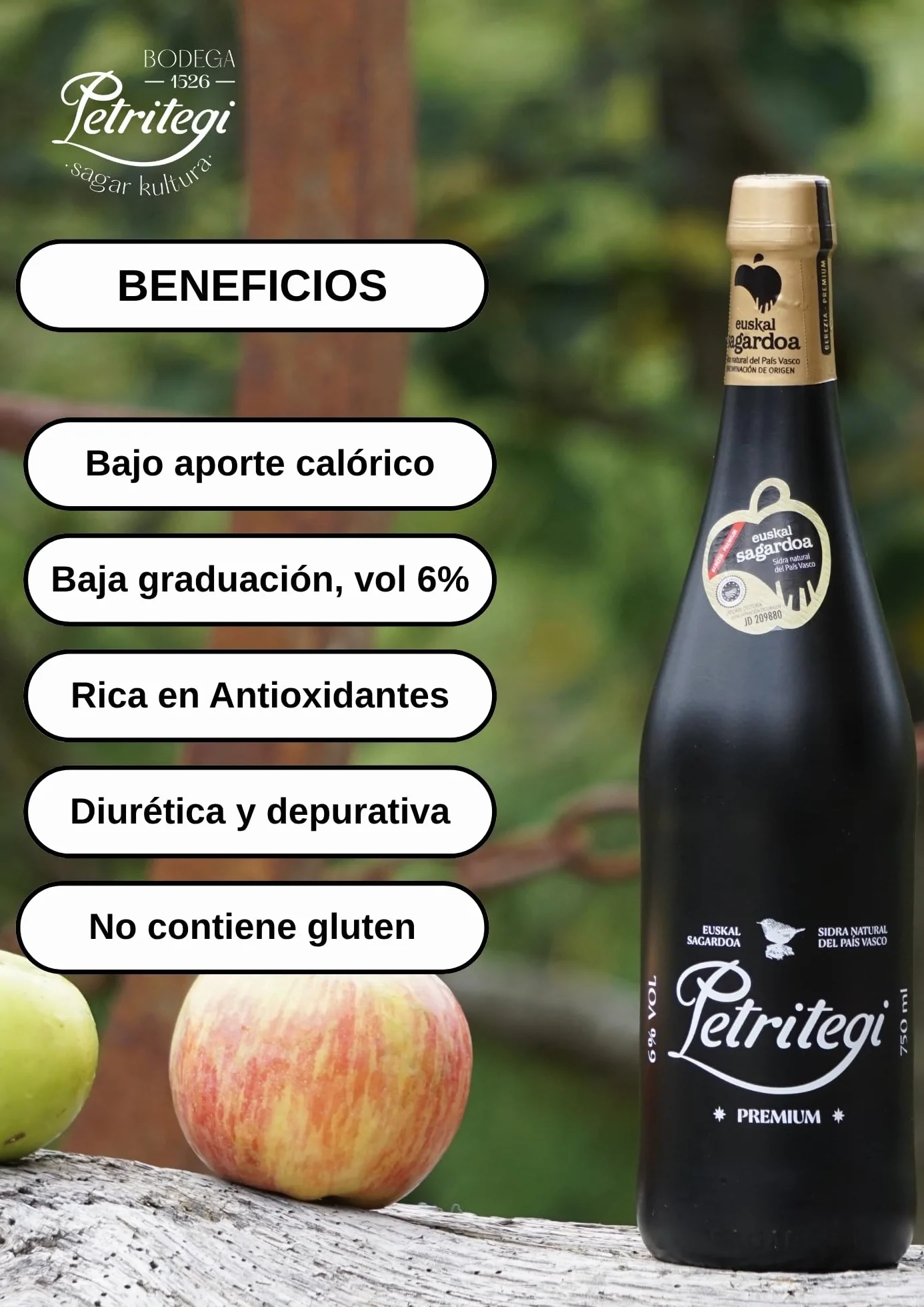 Sidra Natural Petritegi D.O. Premium Edición Limitada Euskal Sagardoa 100% Manzana Autóctona Vasca 6% vol Pack 6