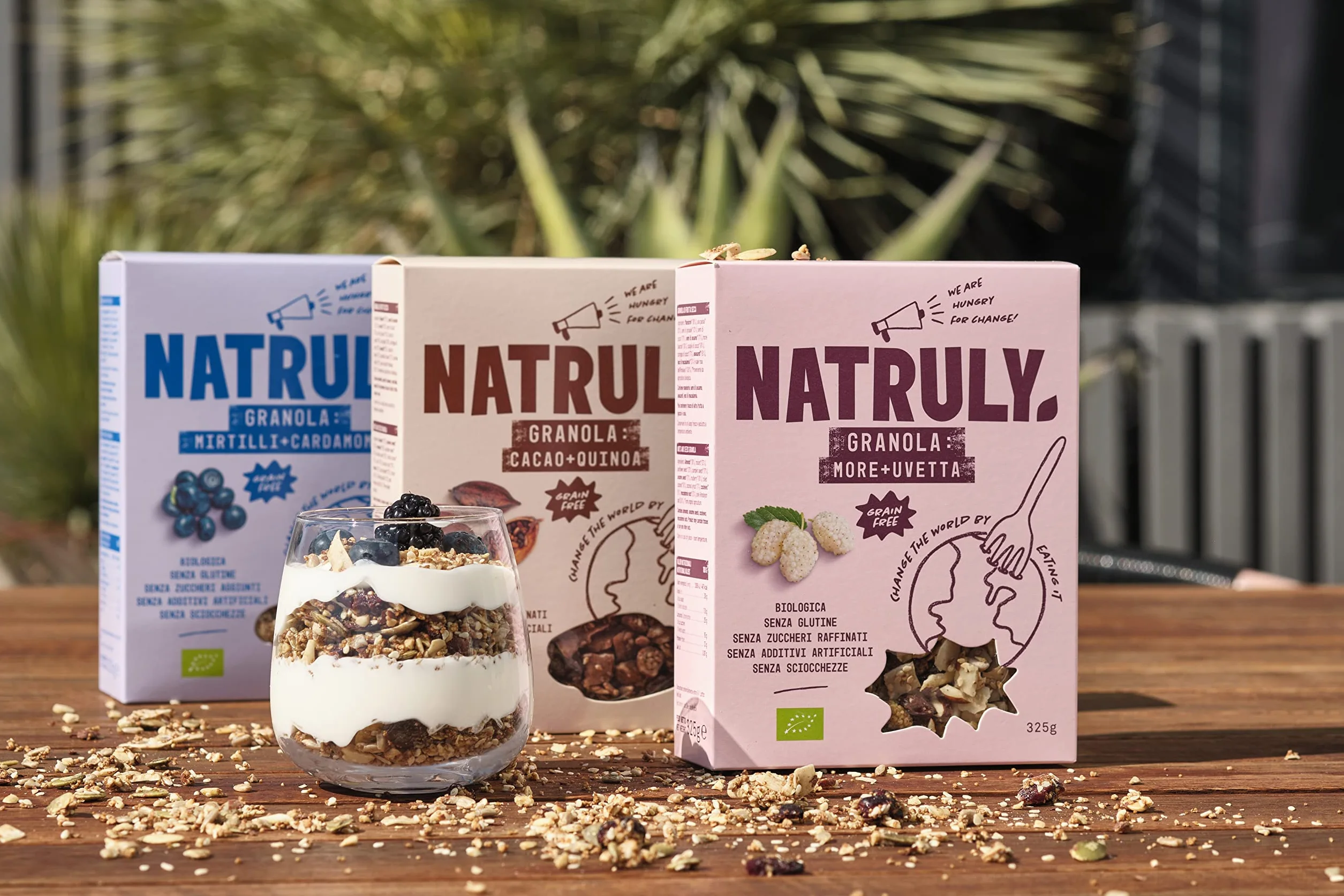 NATRULY Granola BIO Sin Azúcar Refinado Sin Gluten Frutos Secos y Semillas Arándanos 2x325g