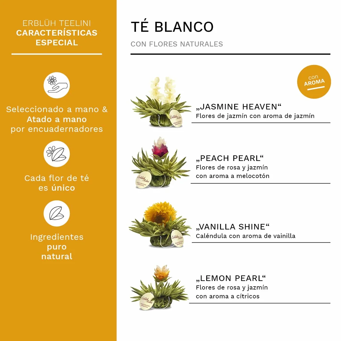 Creano Teelini Flores de Té Blanco Paquete XL 36 uds Mix 4 Sabores