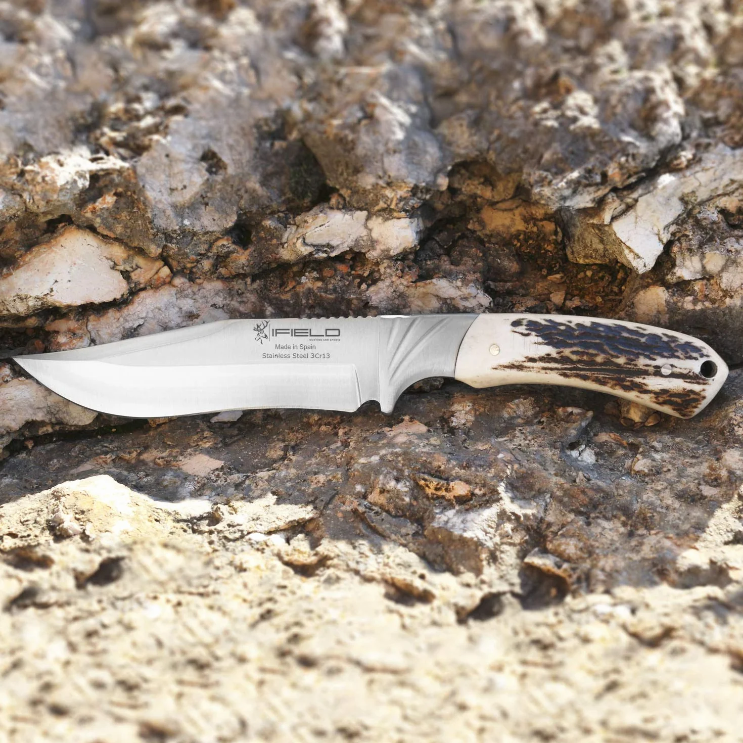 iFIELD Cuchillo de caza Camper EL29013 26 cm hoja 14 cm 3,8 mm funda de piel marrón