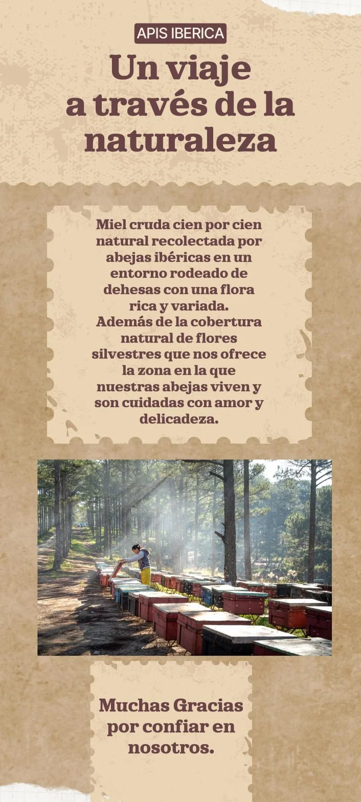 Miel Pura de Abeja-100% Origen España-Miel Cruda-1Kg-Miel Natural-Directa de Apicultor-Sin Procesar-Sin Pasteurizar. (Kg, Flores silvestres)