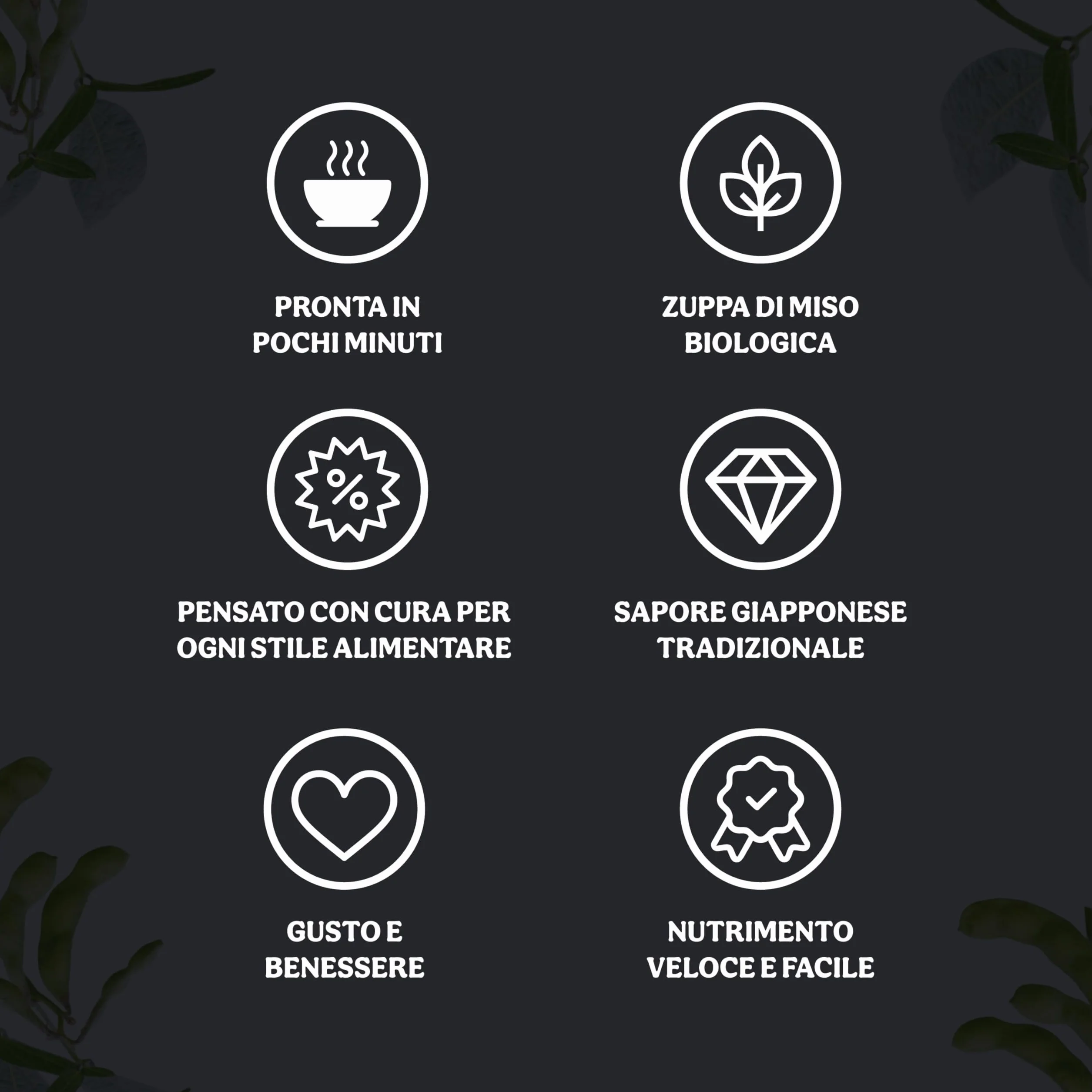 Probios Sopa de miso roja instantánea con algas Wakame bio embalaje (4x10g) 40g