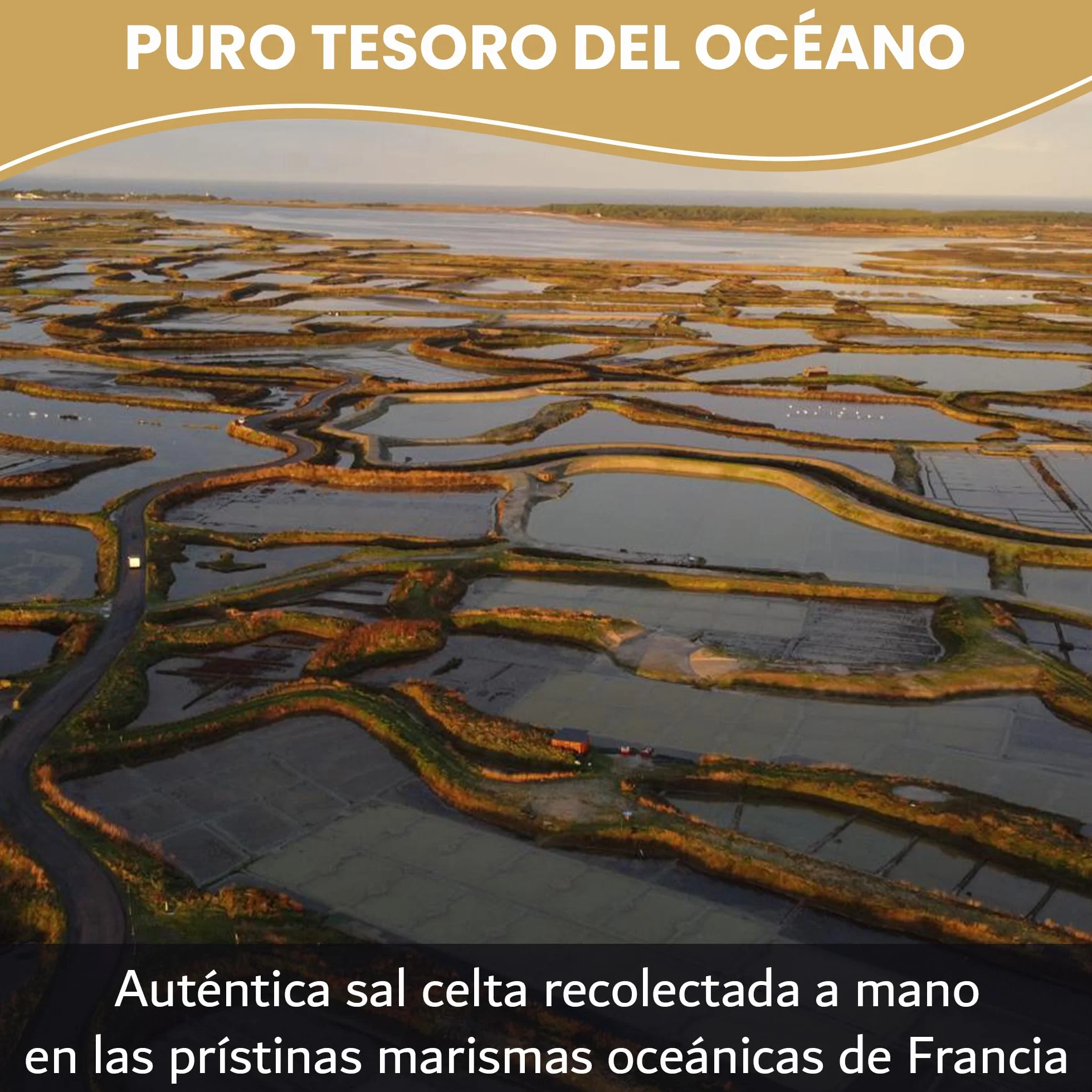 Maison Seltique Celtic Sea Salt, 100% Natural, Sal Celta Cosechada a mano, Artesanal - Pura y Sin Refinar | Sal Marina sin aditivos| Bolsa Resellable | Ideal para Cocina Gourmet y Saludable (500gr)