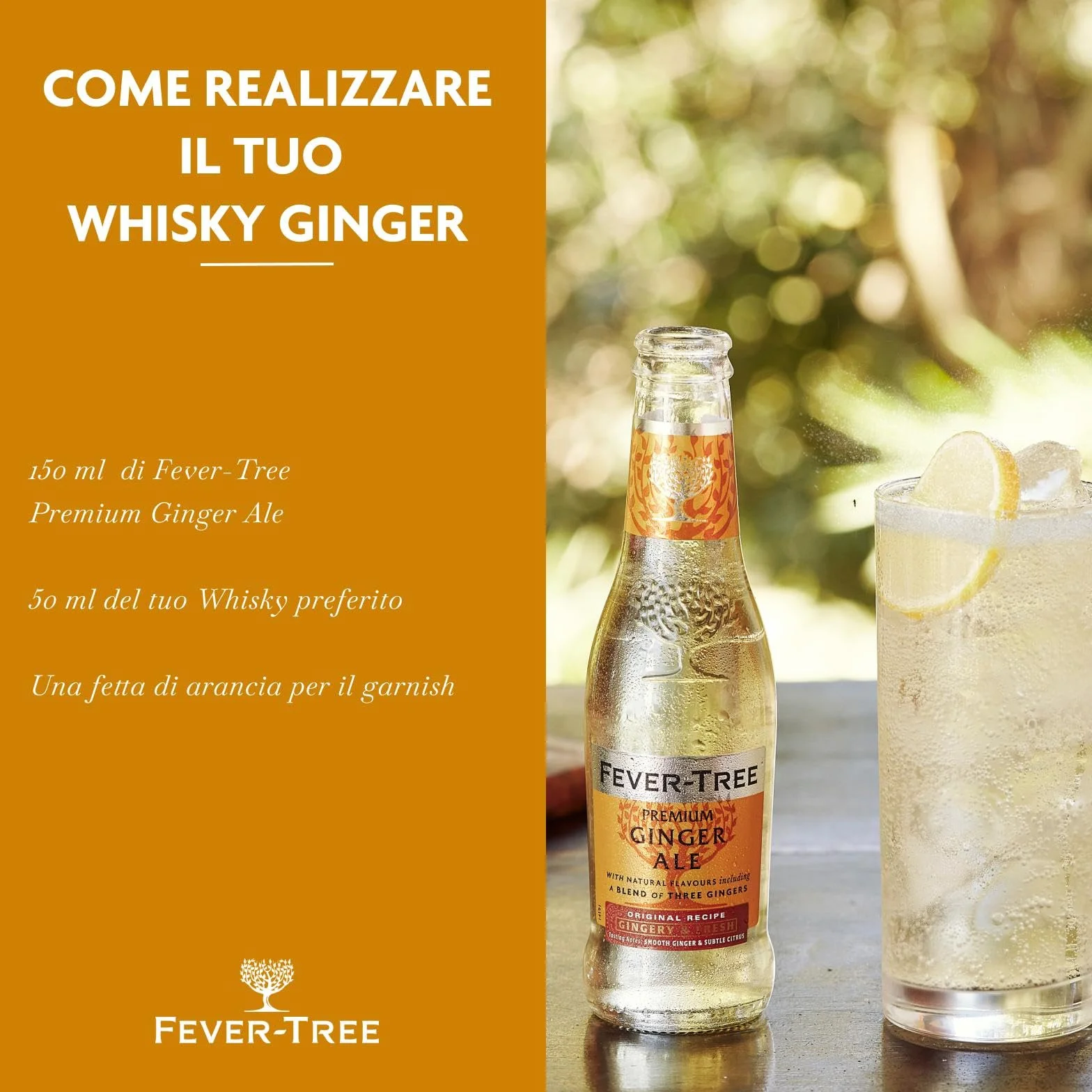 Fever-Tree Ginger Ale 4 x 200 ml Pack of 6