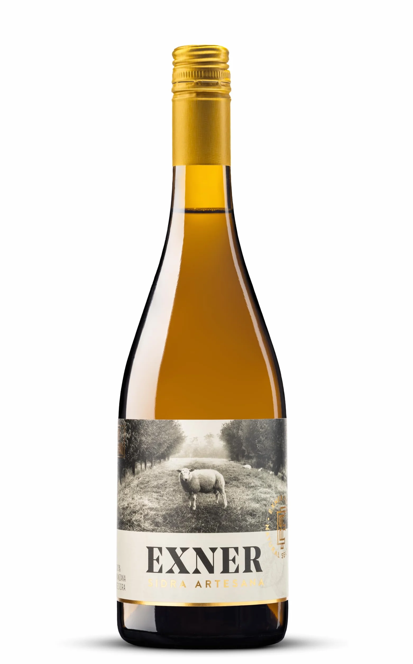 EXNER Sidra Artesana Craft Apple Cider - Natural - 100% Manzana - No Procede de Concentrado - Sin Gluten Vegana - 6 x 75 cl