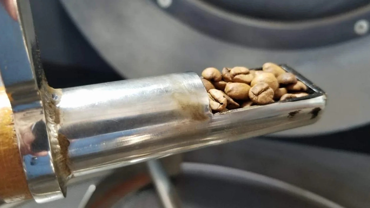 CAFES GUILIS DESDE 1928 Café Colombiano en Grano 100% Arábica Tueste Natural Finca Mocatán 1kg