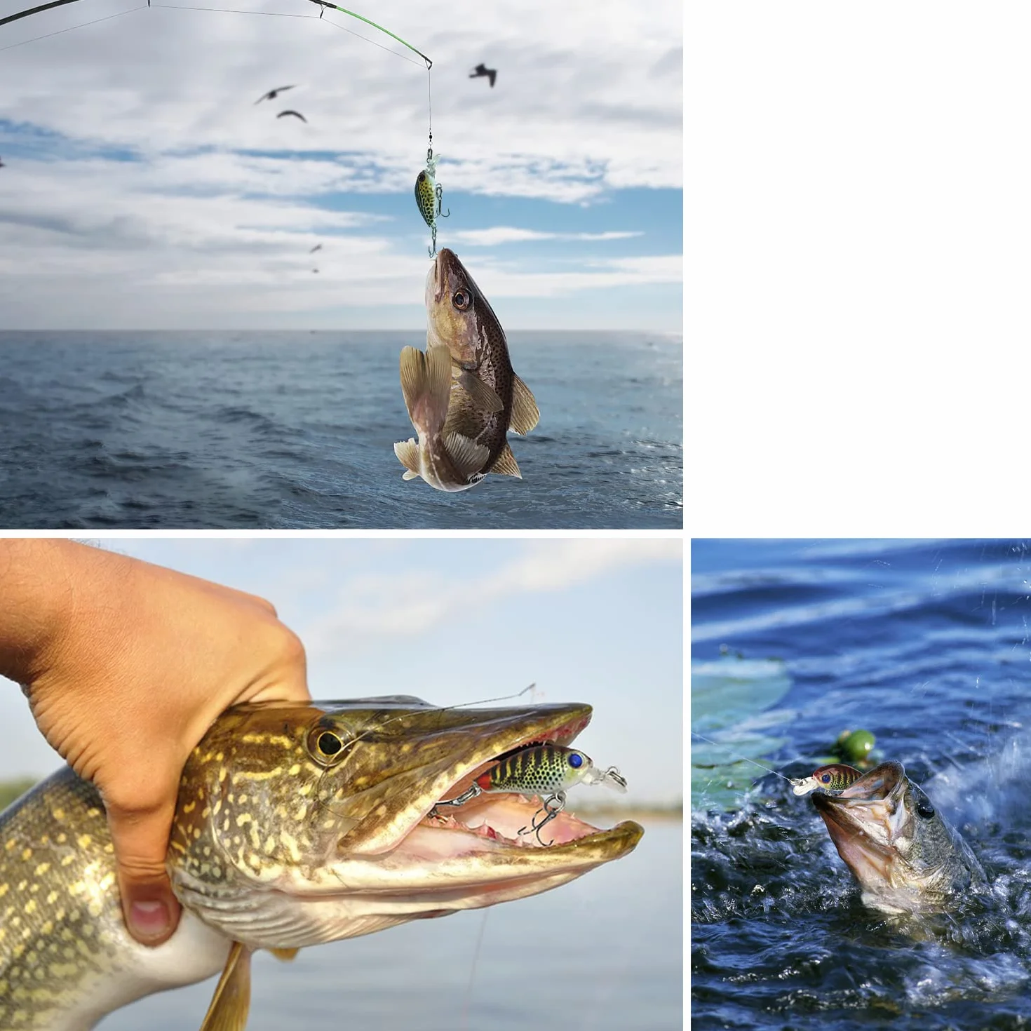 Señuelos de Pesca Crankbaits Flotantes 3D con Anzuelos Triples para Trucha Lubina Lucio