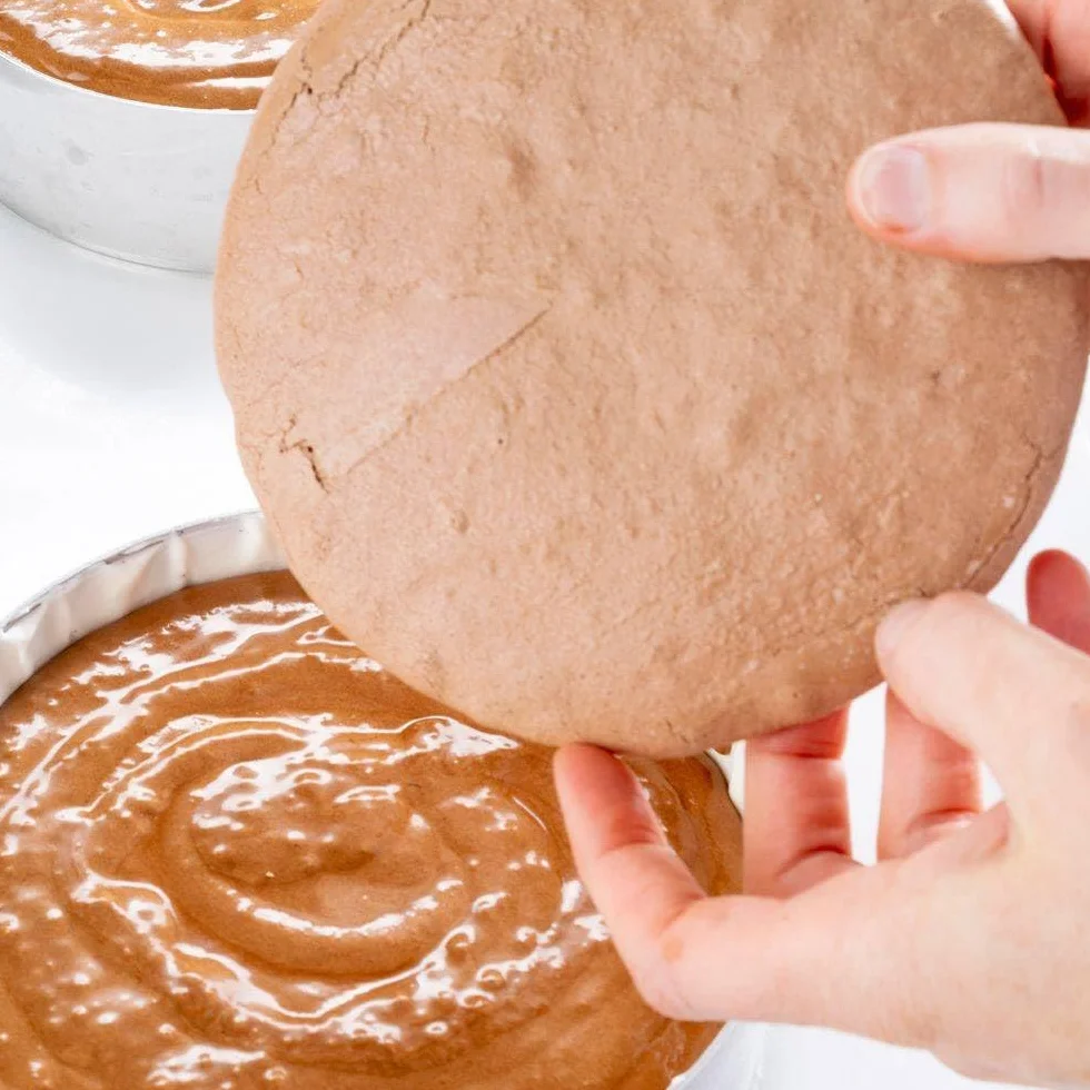 Callebaut Signature Collection Velvet Légère 1% cacao en polvo desgrasado alcalizado bajo en grasa cacao para hornear, 750 g