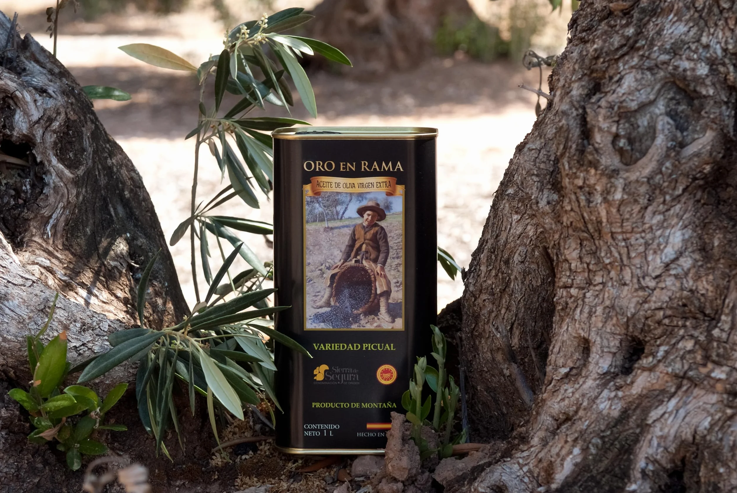 ORO EN RAMA | Aceite de Oliva Virgen Extra 100% Picual de Jaén | AOVE Premium de Primera Extracción en Frío | Aceite de olivar tradicional de montaña | DOP Sierra de Segura | NUEVA COSECHA 25/26 | 1L.