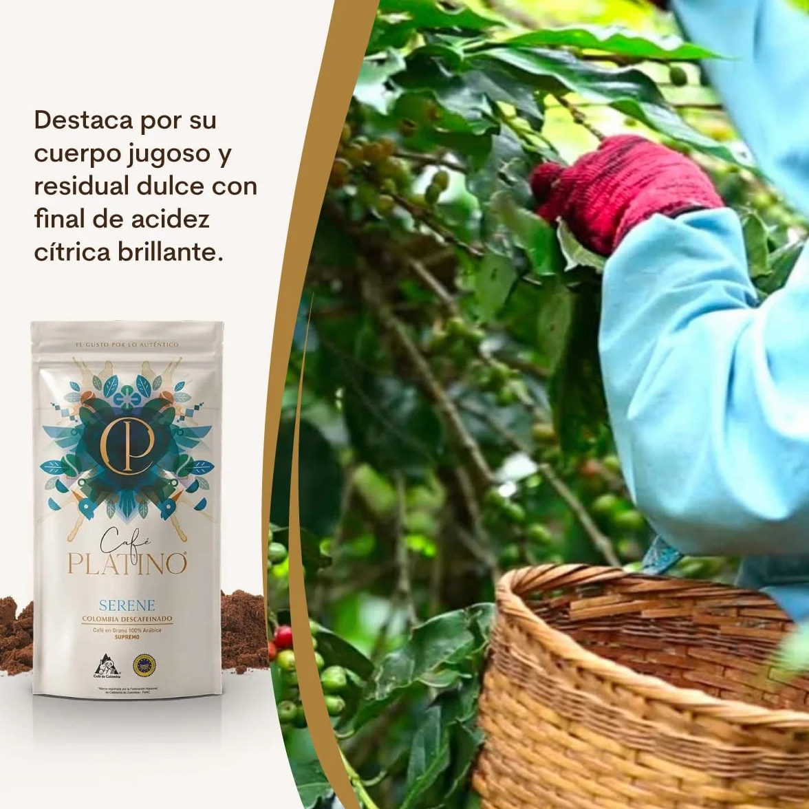 Café Platino Serene - Pack 2 sobres de 250g - Café Gourmet Molido Descafeinado de Colombia Supremo - 100% Arábica