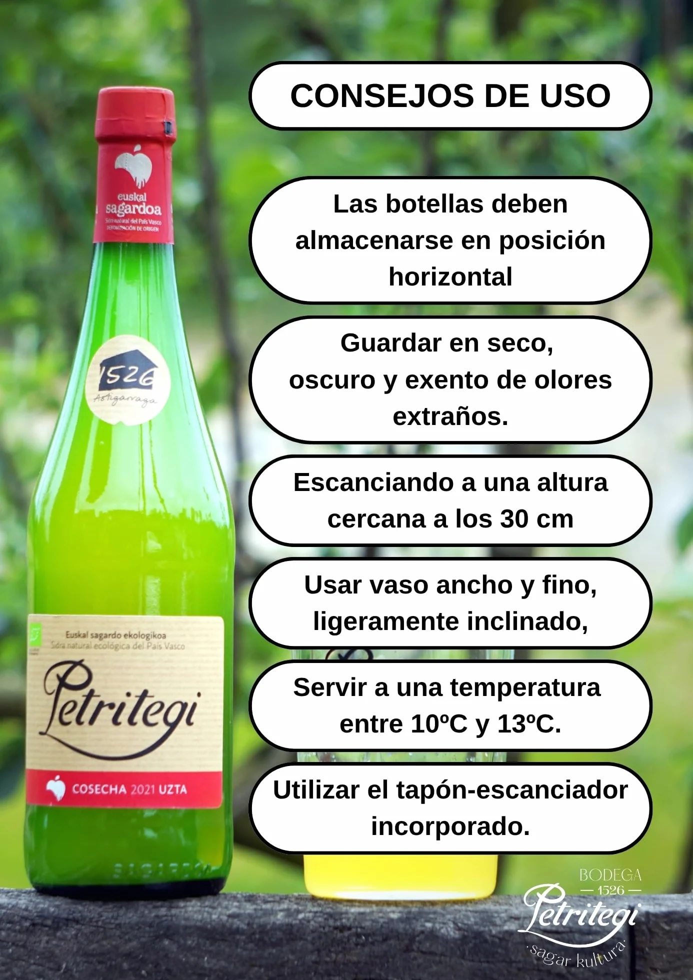 Petritegi Eko Euskal Sagardoa – Sidra Ecológica 100% Manzana Vasca | DO Euskal Sagardoa | Producción Sostenible y Ecológica | 6% Vol (Pack 6)