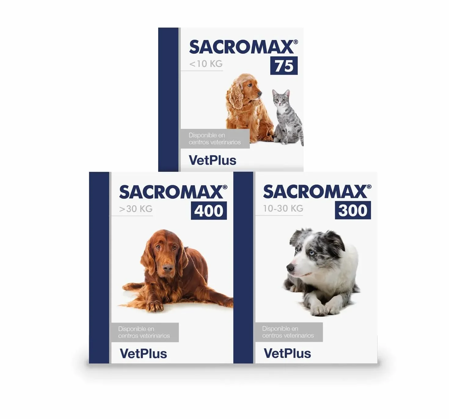 SACROMAX 300 30 Sobres X 4G
