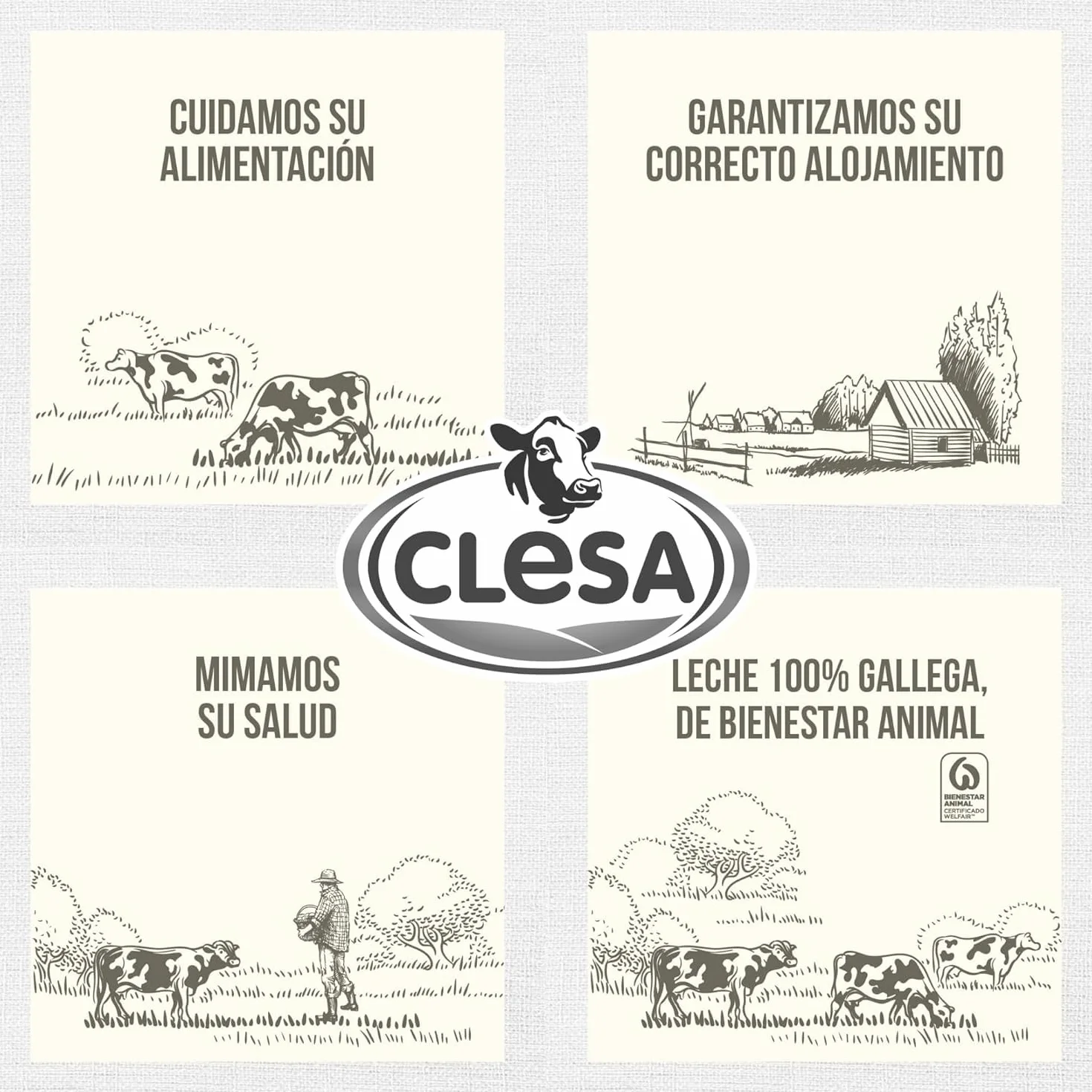 Leche Clesa SIN LACTOSA Semi Desnatada - 6 Bricks de 1 Litro - 100% Leche Gallega - Tapon Anti Goteo - 6 Litros Leche Sin Lactosa [CLESA]