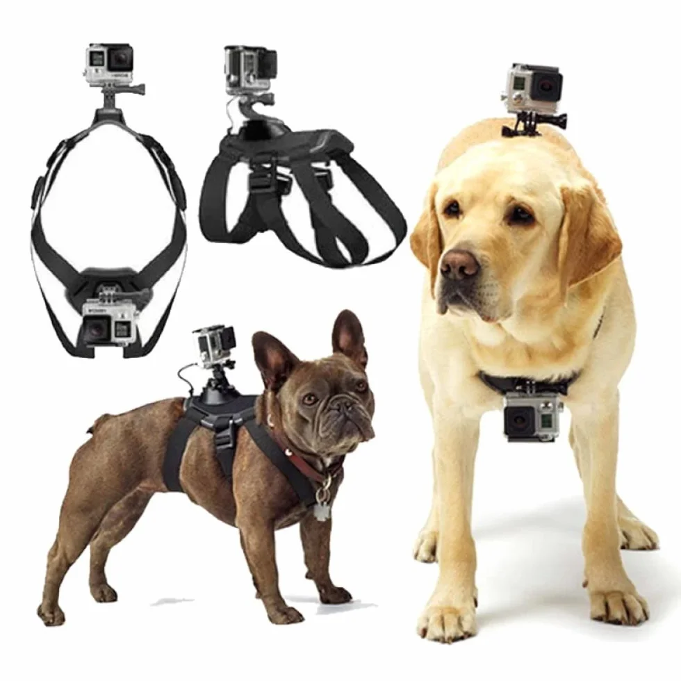 Arnés para Perros Gopro, Ajustable para Grandes, Medianos y Pequeños - Fijación en Pecho y Espalda