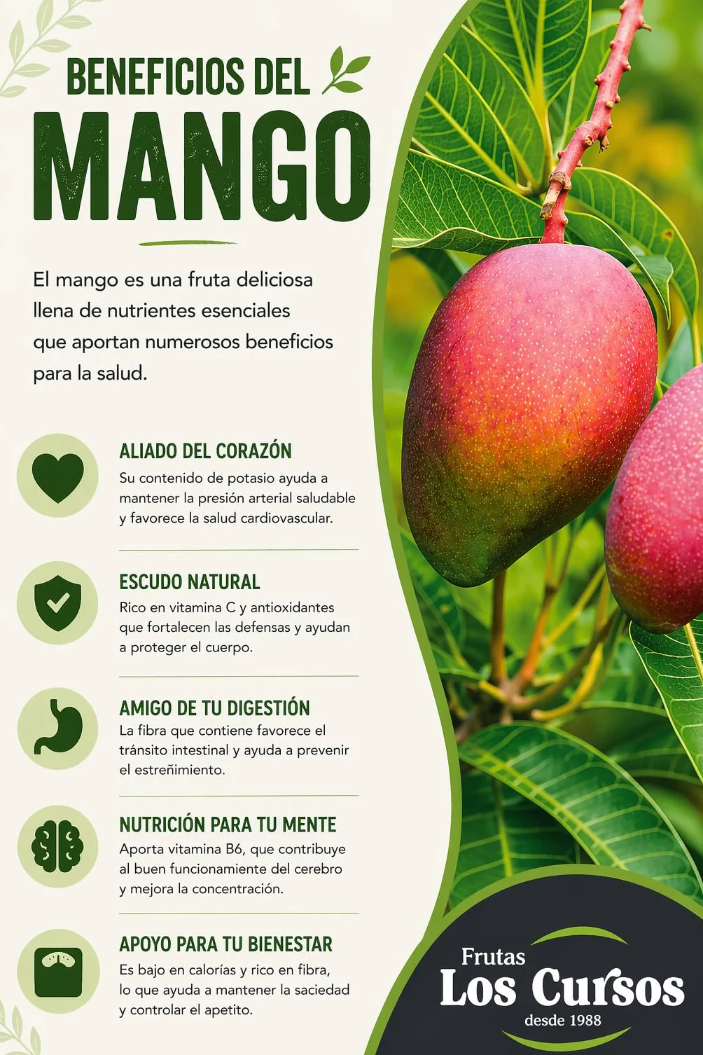 Mango fruta Pack 2kg - Mangos de España - Costa Tropical de Granada