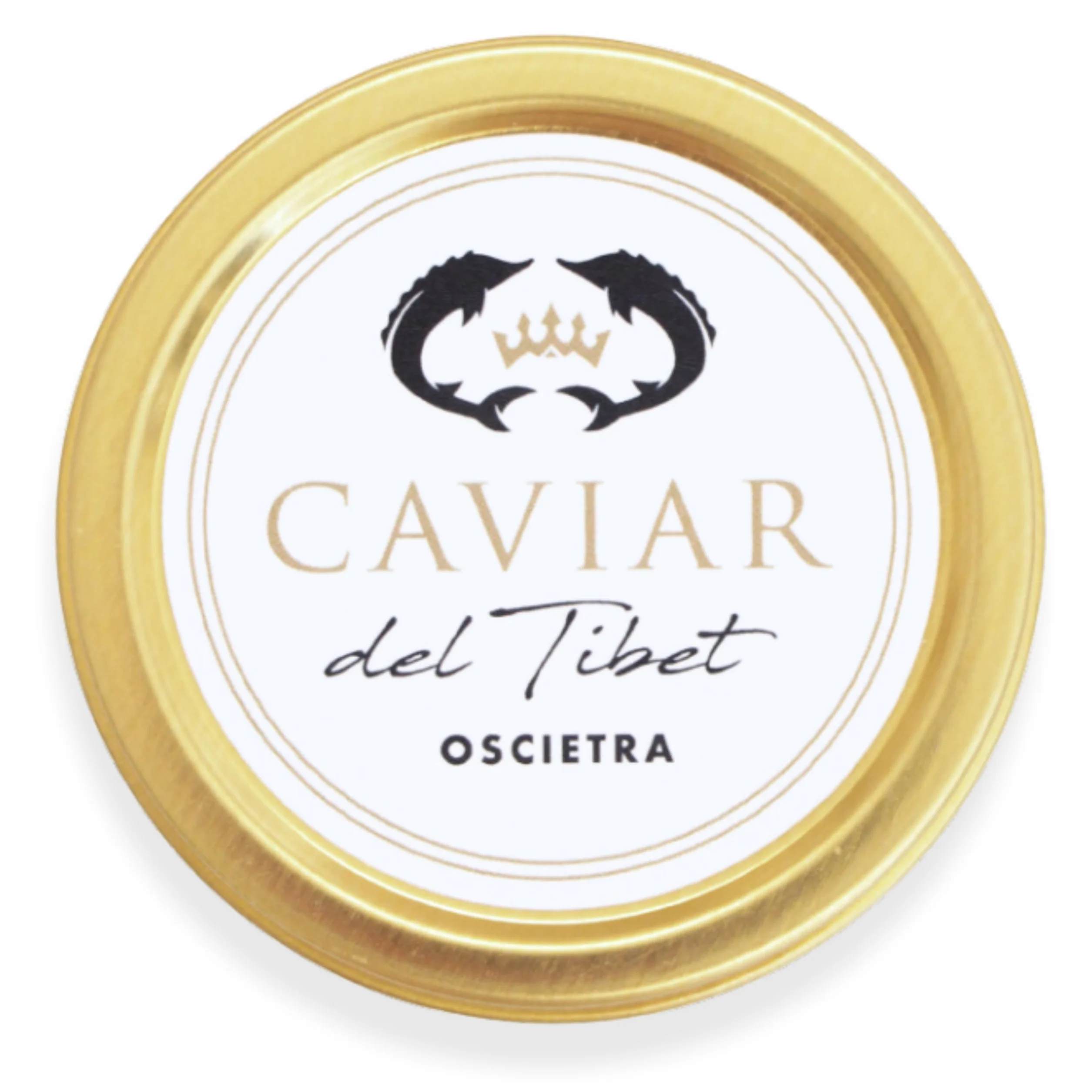 Caviar del Tíbet – Caviar Oscietra 100 GR – Caviar de Esturión Ascipenser Gueldenstaedtii – Huevas de Caviar – Caviar Gourmet