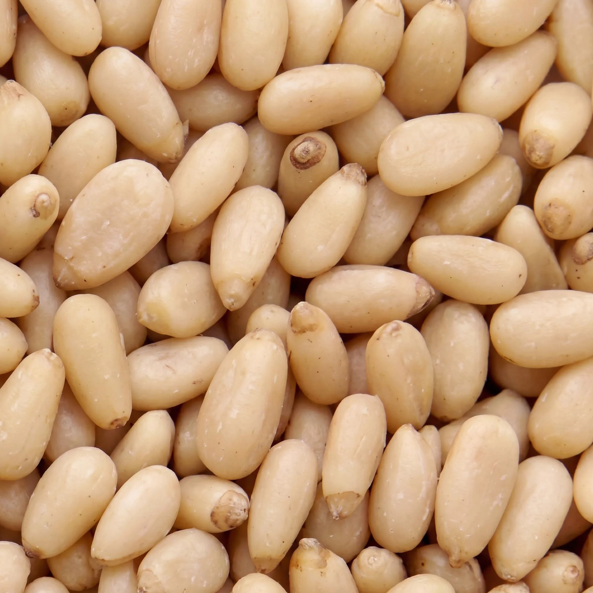 Piñones naturales 1 kg nut&me | Piñón de pino | Sin cáscara | Ideal para pesto | 100% naturales | Sabrosos