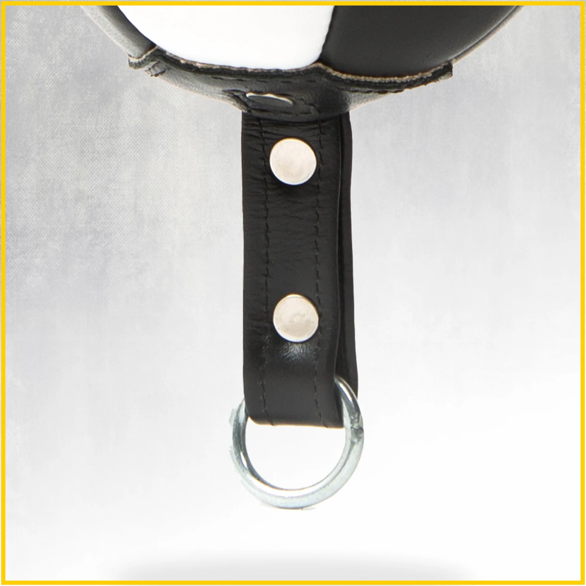Everlast 1910 Double End Speed Bag Punching
