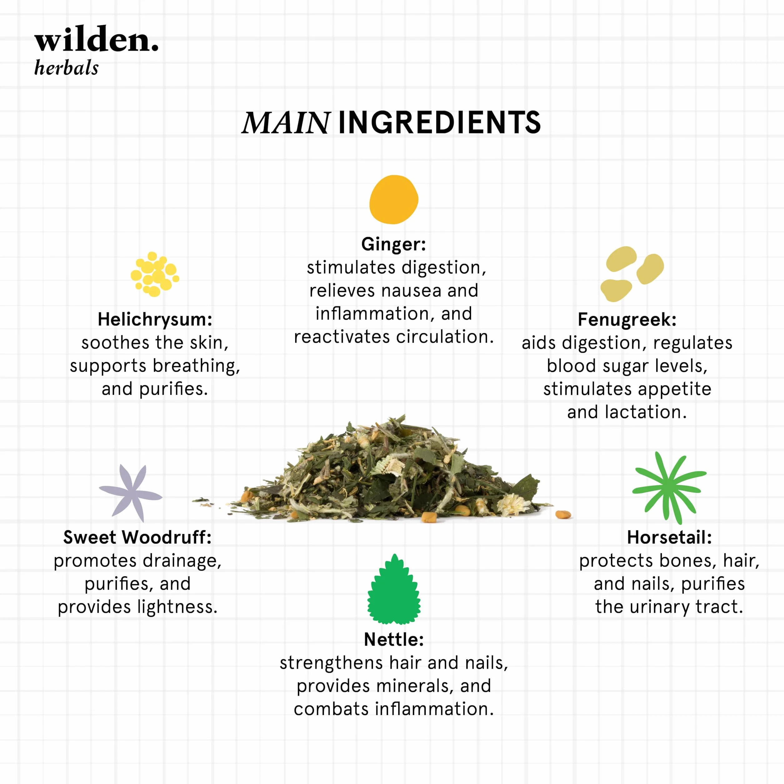 Wilden Herbals Remedium n.7 Detox - Té de Hierbas Depurativo - Mezcla de Hierbas Detoxificantes para Eliminar el Exceso de Toxinas - 10 Bolsitas