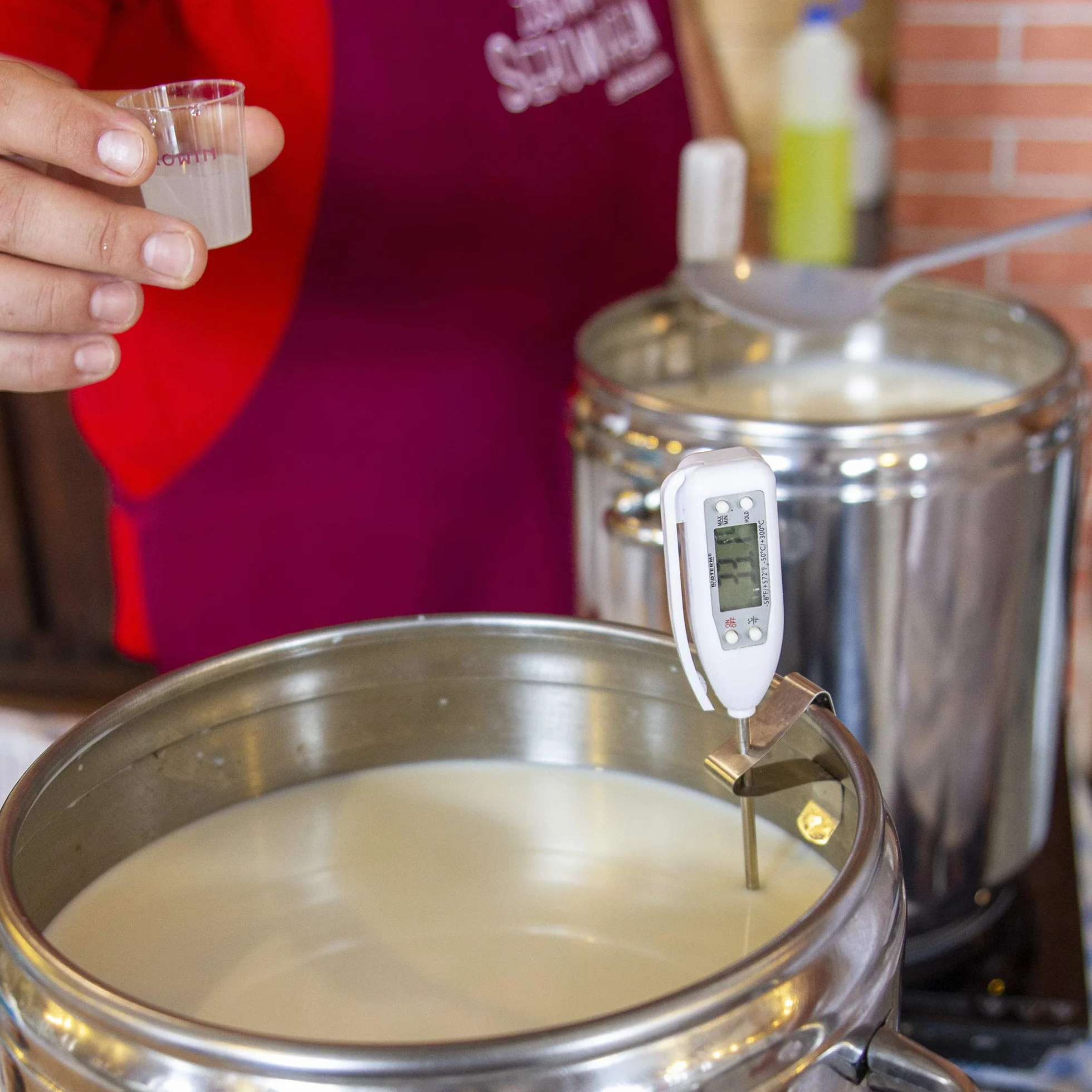 Browin Lab líquido natural 411207, 50 ml, para leche de vaca, oveja y cabra, 105-260 L, gran rendimiento, fácil dosificación, líquido