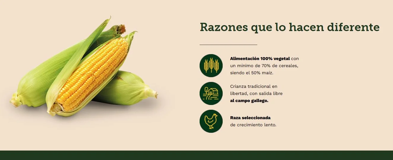 Pollo de Corral Gallego Entero 2.20kg Alimentación 100% Vegetal Maíz Crianza Semilibertad Galicia Calidade