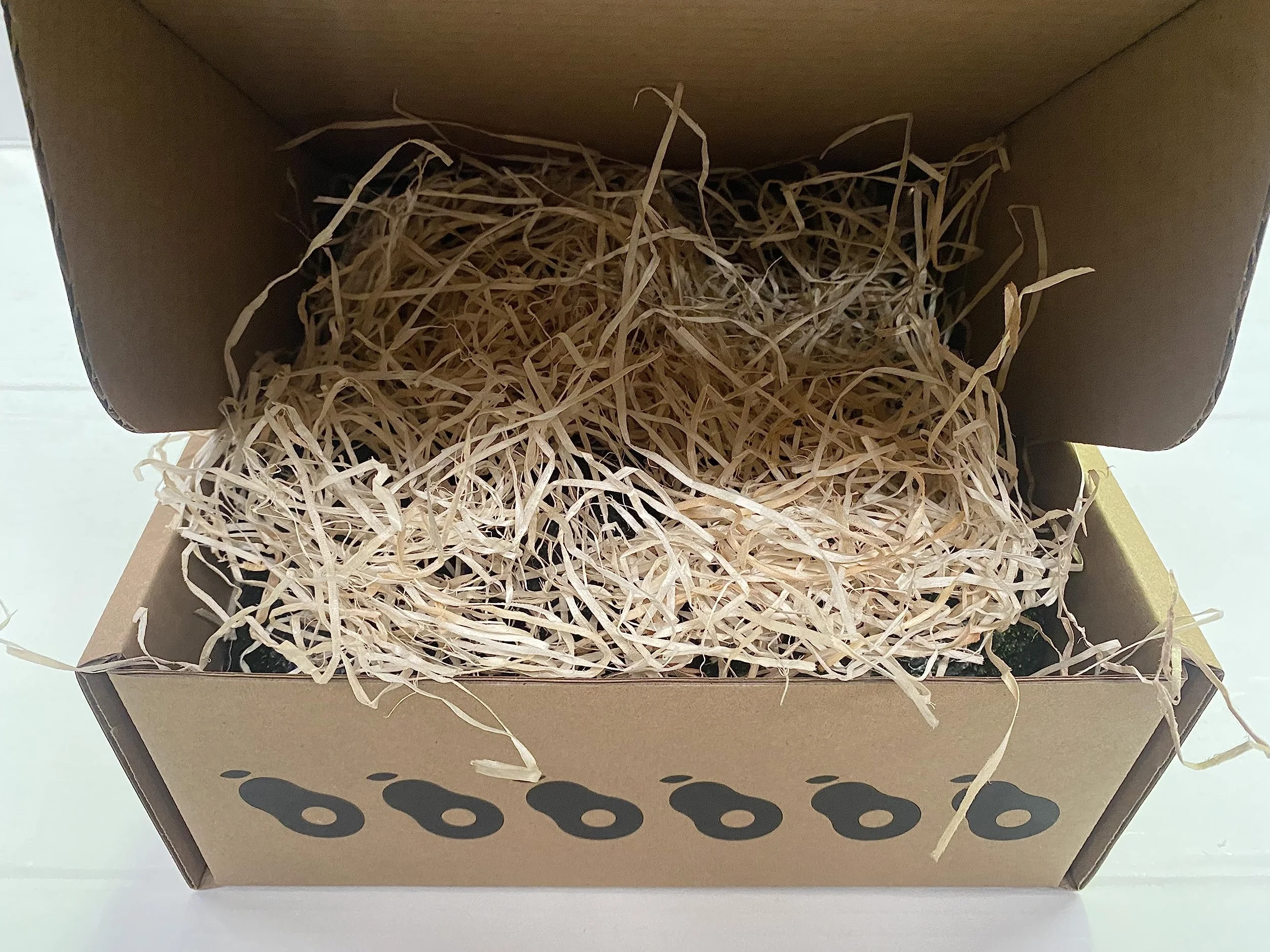 Aguacate Lamb Hass, caja de 2Kg., de 7 a 9 piezas, sin tratamientos químicos, cosecha propia. Se recolectan el día del envío.