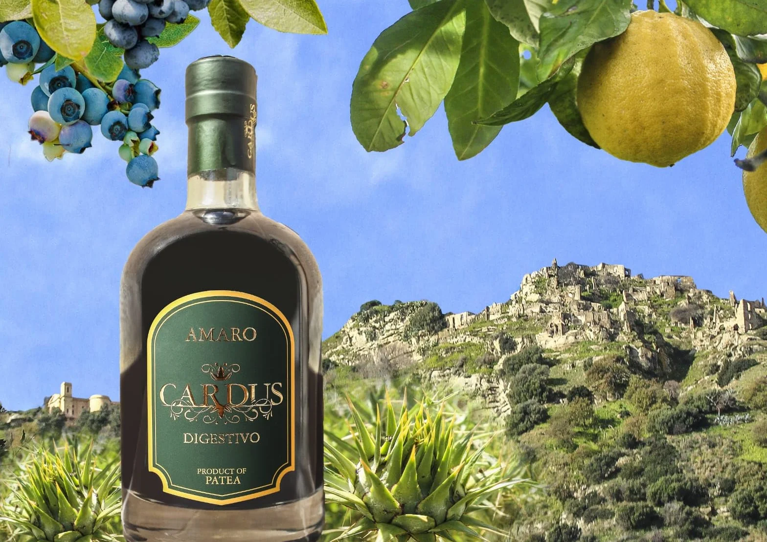 Patea, Amaro Digestivo Cardus, Licor con Cardo Salvaje, Bergamota y Arándanos Vol 28%, 70 cl