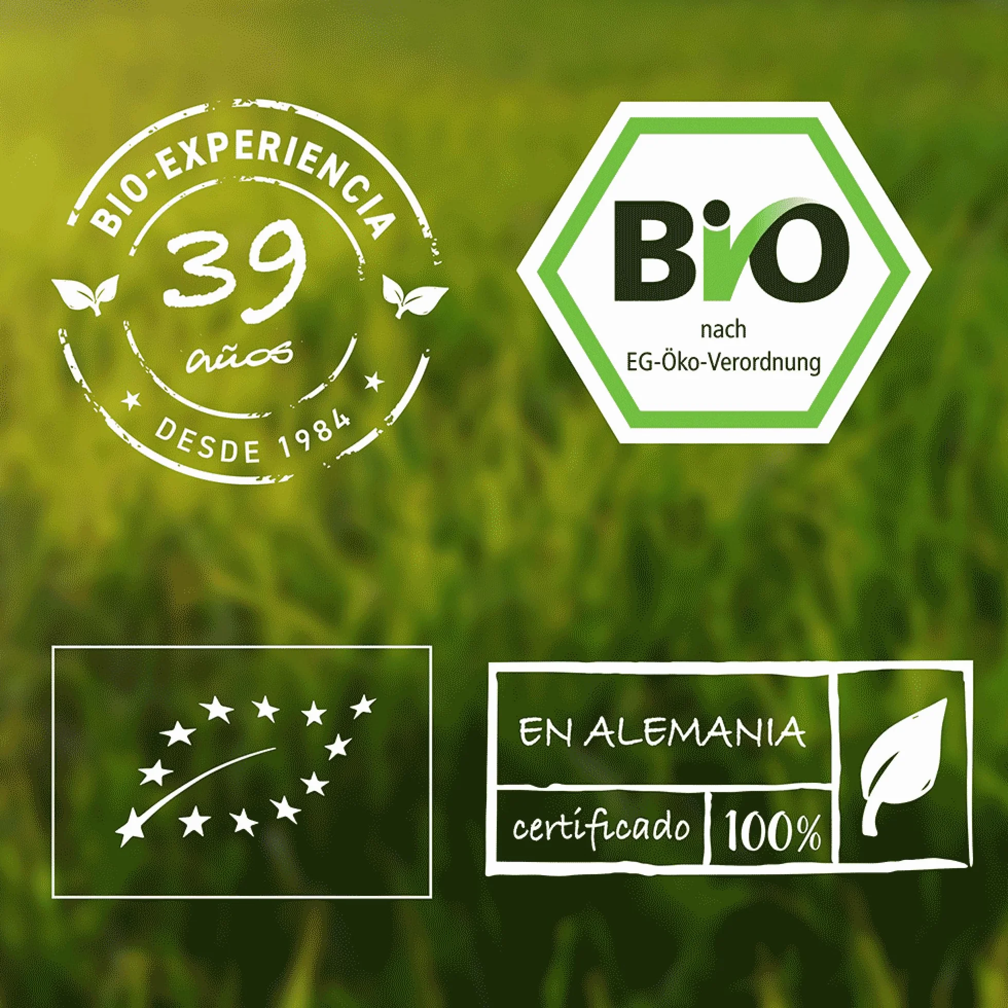 Biotiva Dulse en polvo - Alga Roja 250g (2x125g) - Superfood 100% orgánica sin aditivos