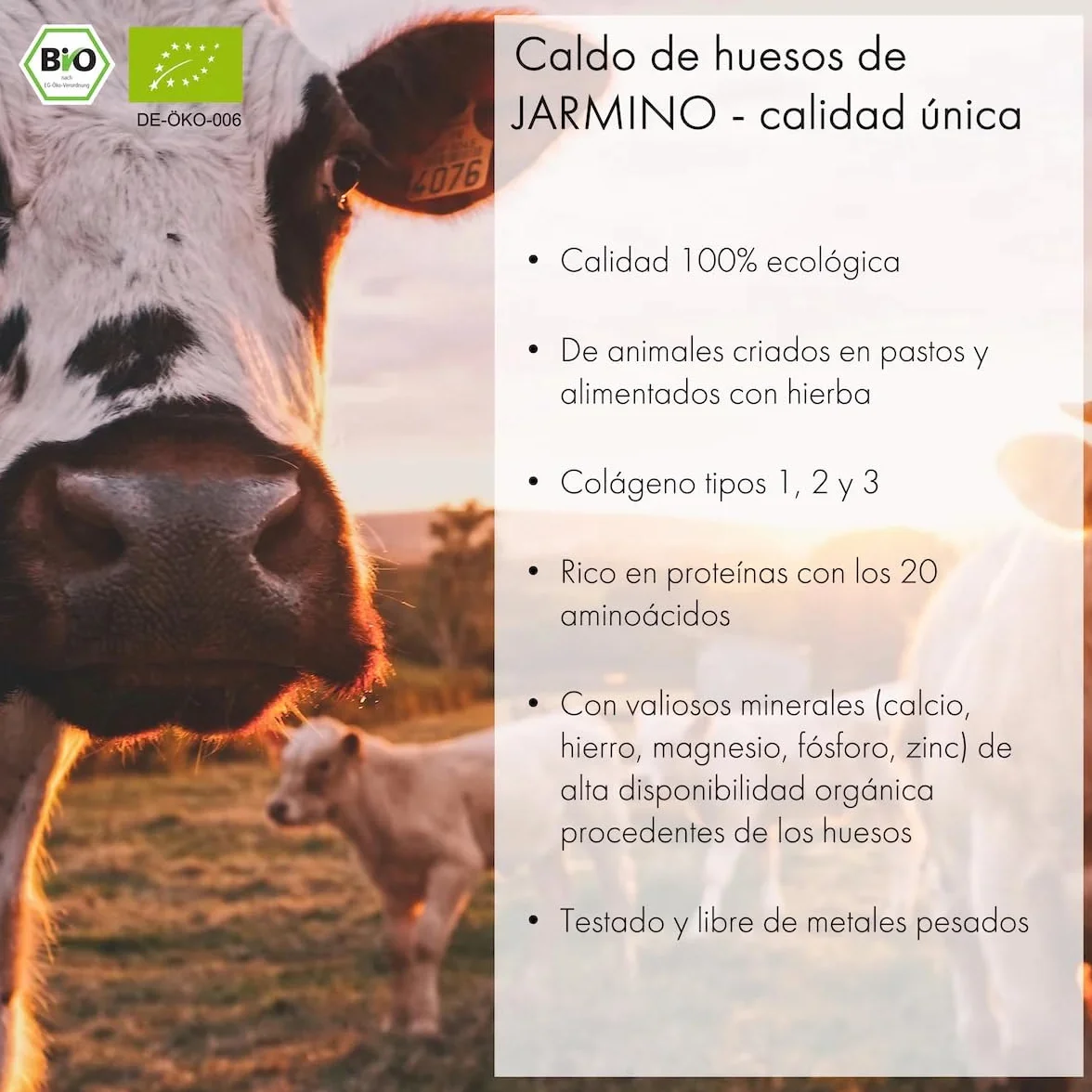 BONE BROTH caldo de hueso de carne ecológico en tarros / ganado alimentado con hierba / colágeno y ácido hialurónico naturales / caldo de hueso (4 x 350 ml)