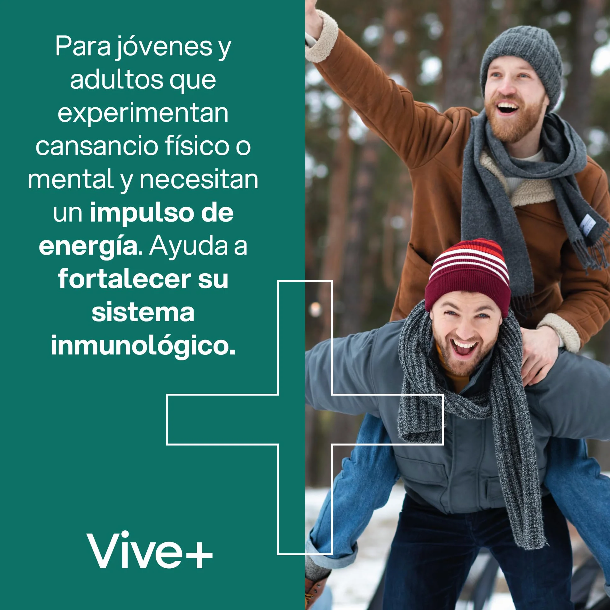 Vive+ Jalea Real – 12 Viales – Suplemento Energético Natural con Vitamina C – Refuerza el Sistema Inmunológico y Reduce el Cansancio – Fórmula Concentrada para Vitalidad y Bienestar