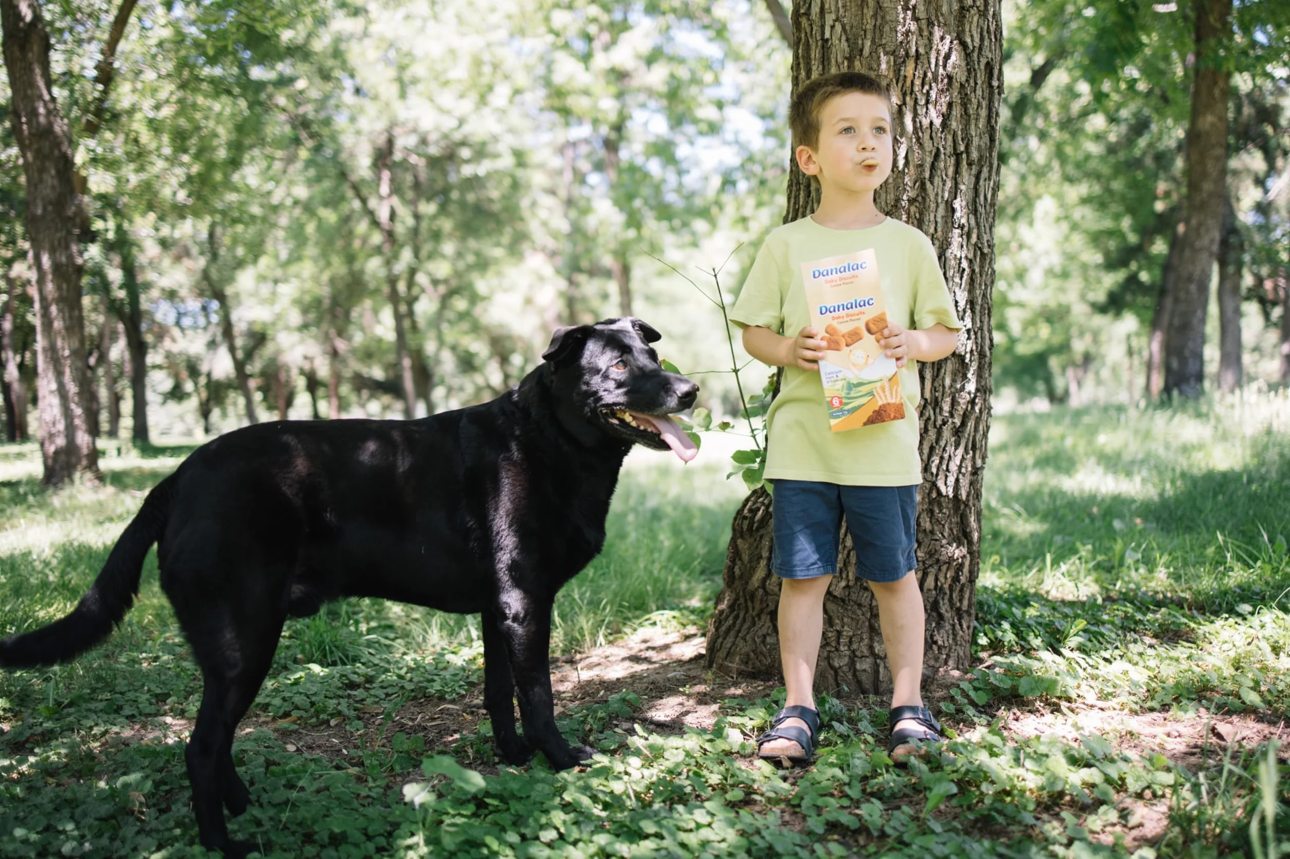 Danalac, Paquete De Galletas De Cacao Para Bebés De Bocadillos Para Niños Pequeños De 6 Meses O Más Con Calcio, Hierro Y Vitaminas, 120 Gramos