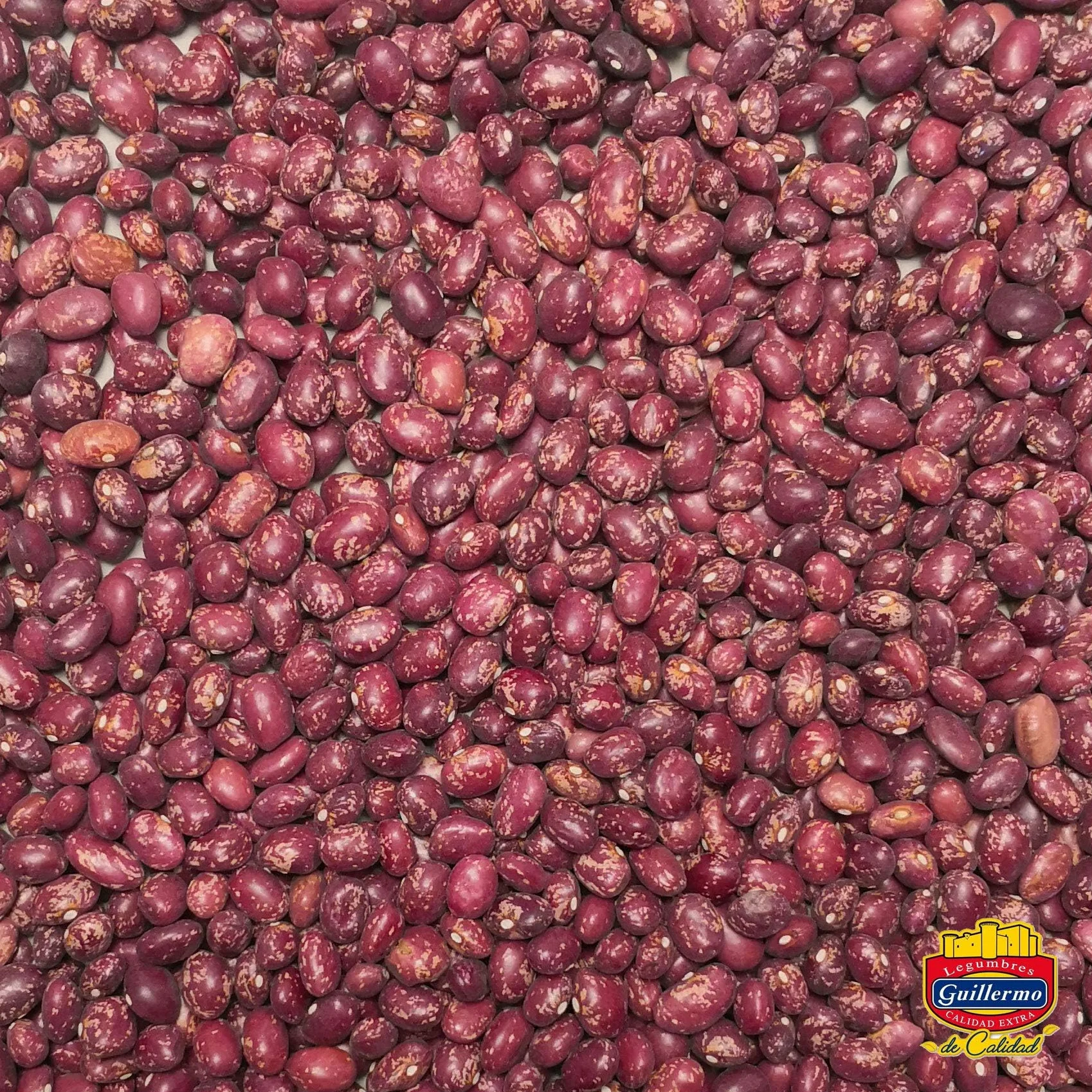 Guillermo | Alubia roja alavesa - Saco 500 g. | Gourmet | Calidad Extra | Alto contenido en proteína vegetal | Ideales para guisos y potajes