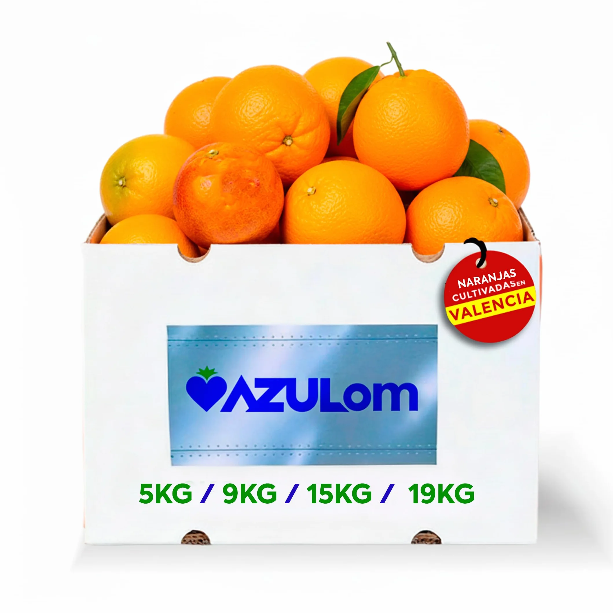 Naranjas de Valéncia directas del árbol recién recolectadas - del árbol a tu mesa sin tratamientos post cosecha - cajas de 5, 9, 15 y 19kg - fruta natural valenciana - naranja de mesa (9KG)