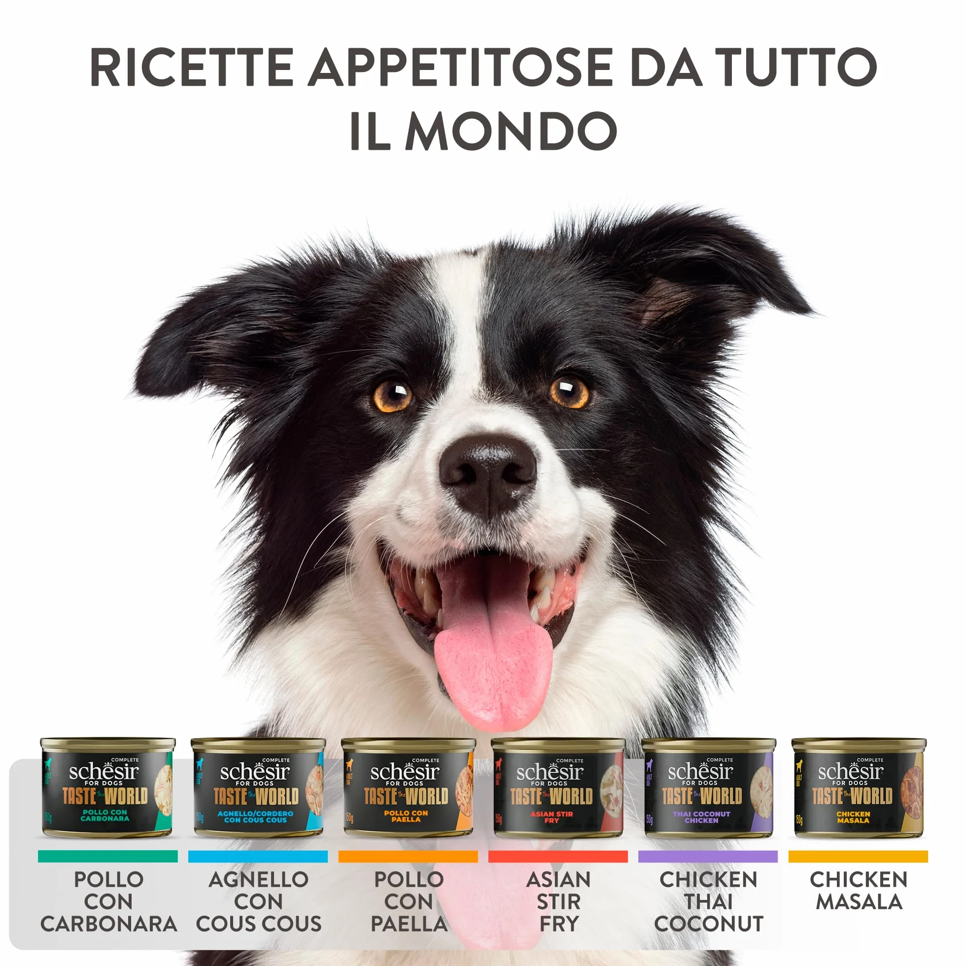 Schesir Taste The World Agnello con Cous Cous 8X150g