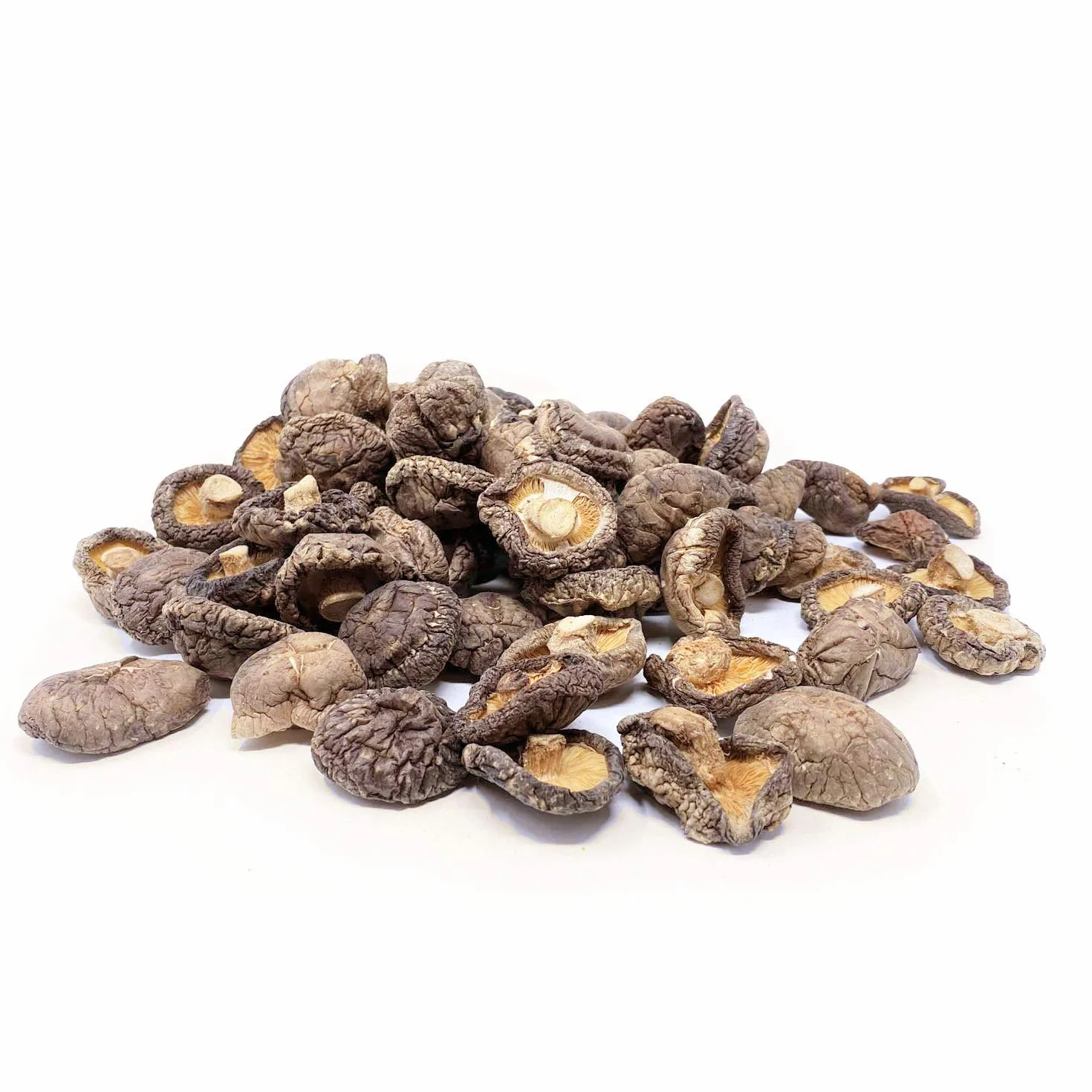 Scherini Valtellina – Lentinula edodes Shiitake deshidratado 70g