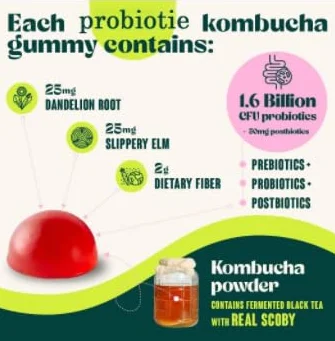 𝗣𝗿𝗼𝗯𝗶𝗼𝘁𝗶𝗰 Kombucha Gummy - Promueve la salud intestinal, apoya la salud digestiva y alivia la hinchazón - Probióticos para mujeres y hombres - Vegano, sin OGM