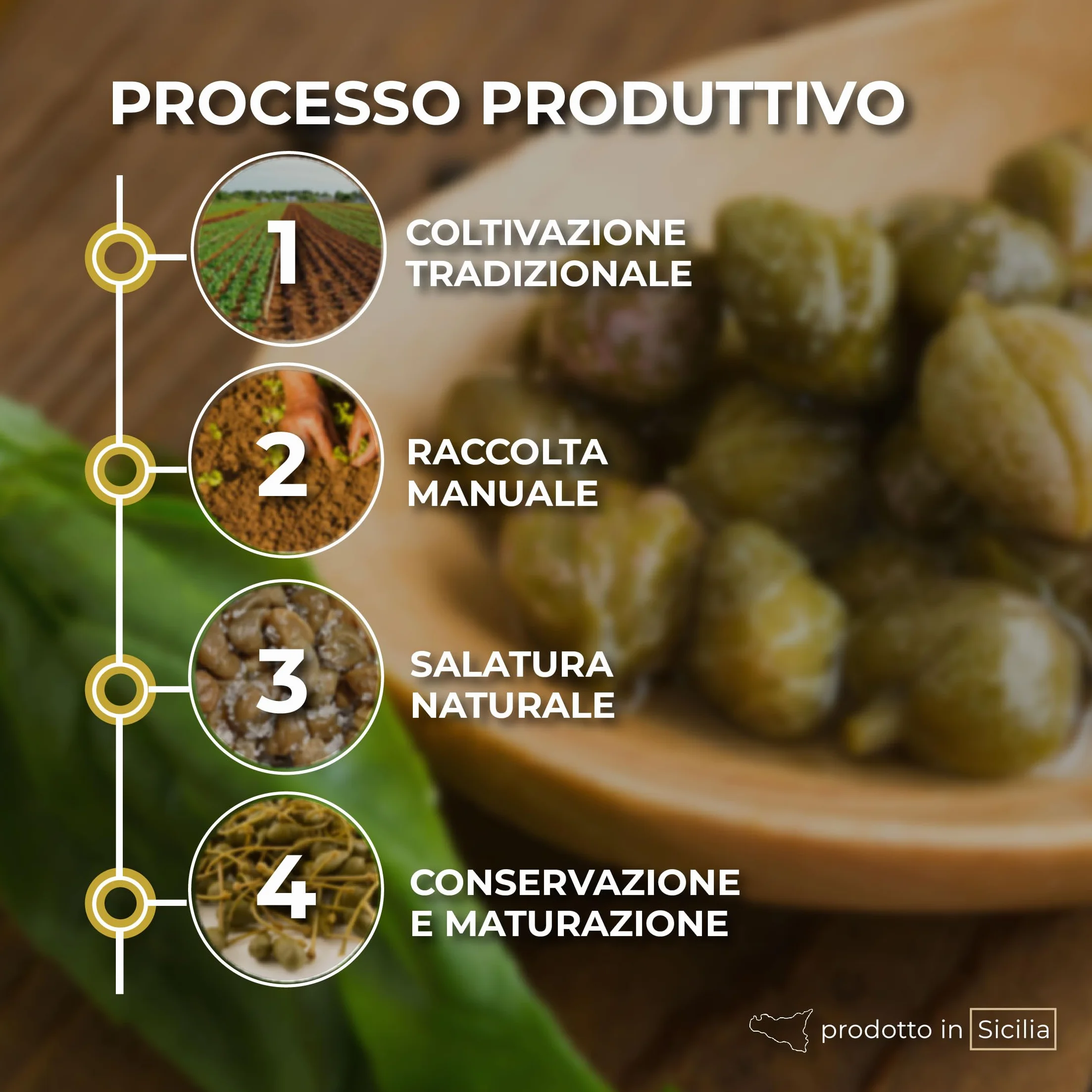 Alcaparras Medianas Bajo Sal DOP Islas Eolias RACILIA 500g