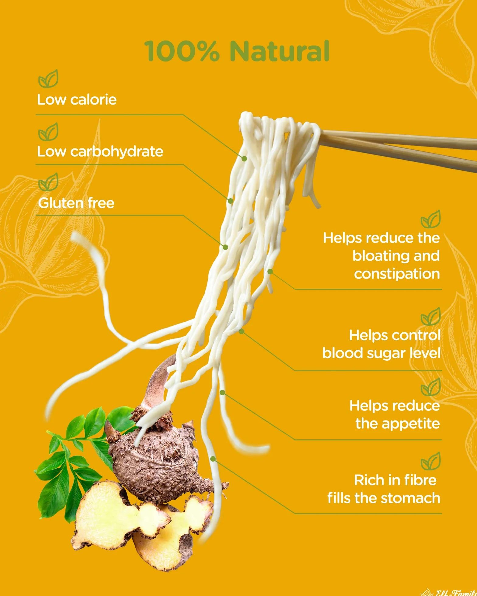 Elf-family [Nuevo] Pasta Konjac Keto de Tailandia Bajo en calorías/Bajo en carbohidratos/Vegano/Sin gluten Fideos Konjac Noodles Shirataki Oat Fibre/Sin azúcar - Spaghetti, 240g x 6 cajas(12 paquetes)